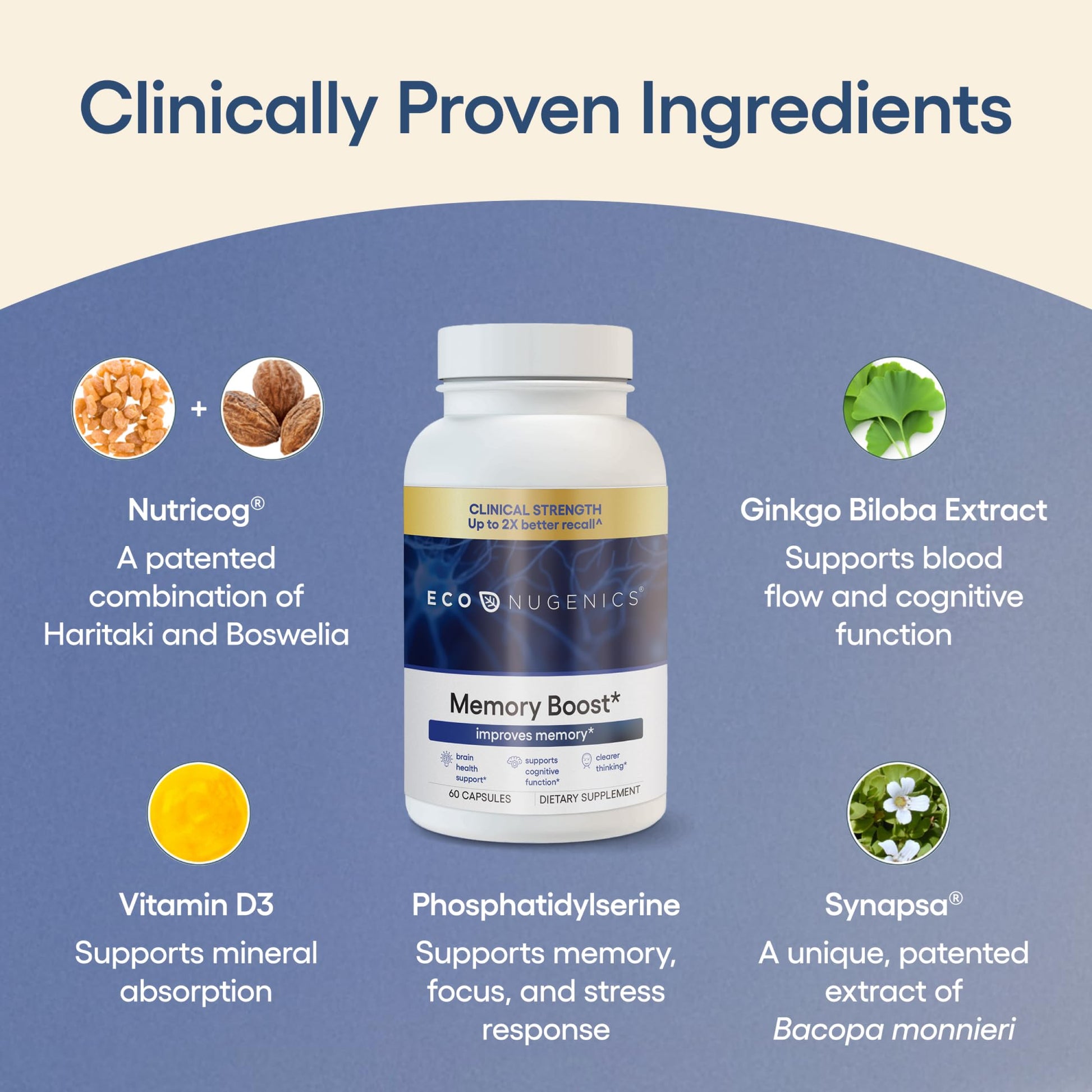 EcoNugenics Memory Boost Supplement – Clinically Studied Ingredients to Support Brain Focus & Health – Nootropic Formula with Bacopa Monnieri, Boswellia Serrata & Ginkgo Biloba Extract – 60 Capsules EcoNugenics Au supplements