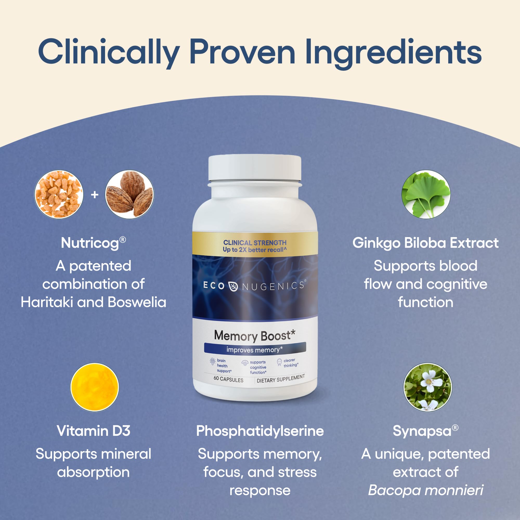 EcoNugenics Memory Boost Supplement – Clinically Studied Ingredients to Support Brain Focus & Health – Nootropic Formula with Bacopa Monnieri, Boswellia Serrata & Ginkgo Biloba Extract – 60 Capsules EcoNugenics Au supplements