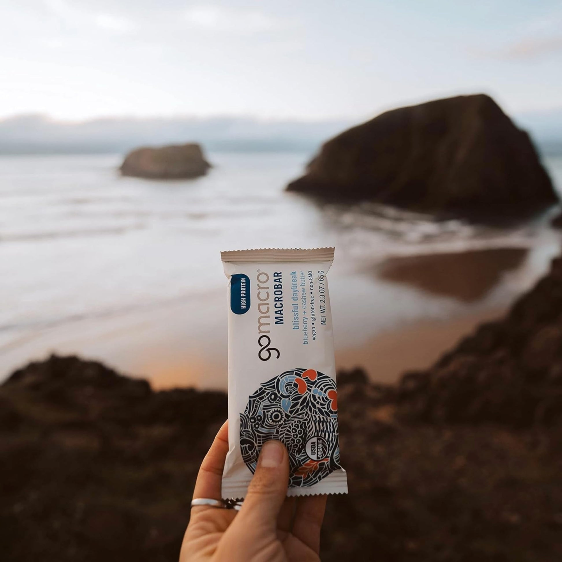 GoMacro Macrobar Organic Vegan Protein Bars - Blueberry + Cashew Butter , 2.3 Ounce GoMacro Au supplements