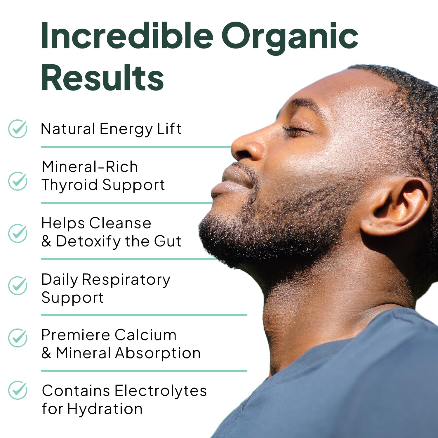 Organics Ocean Wild Sea Moss Capsules - 100% Organic Irish Sea Moss with Organic Chlorella, Bladderwrack and Vitamin D for Energy, Lung Health and Thyroid Support for Women and Men - 60 Capsules Organics Ocean Au supplements