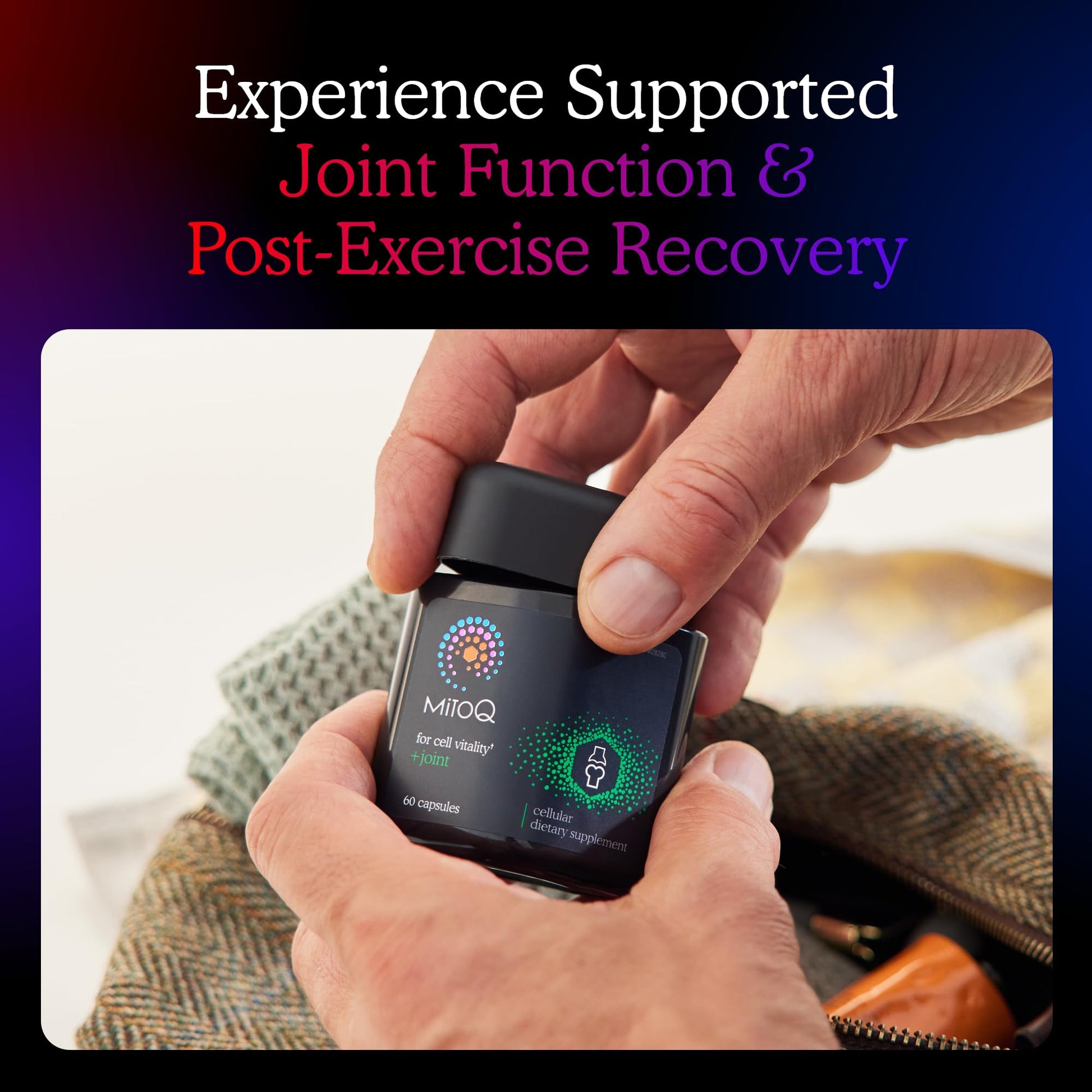MitoQ +Joint Advanced CoQ10 Antioxidant Supplement - Contains Mitoquinol Mesylate & Green Lipped Mussel Omega Oil Extract - Supports Healthy Joint, Mobility and Cell Vitality (60 Softgel Capsules) MitoQ Au supplements