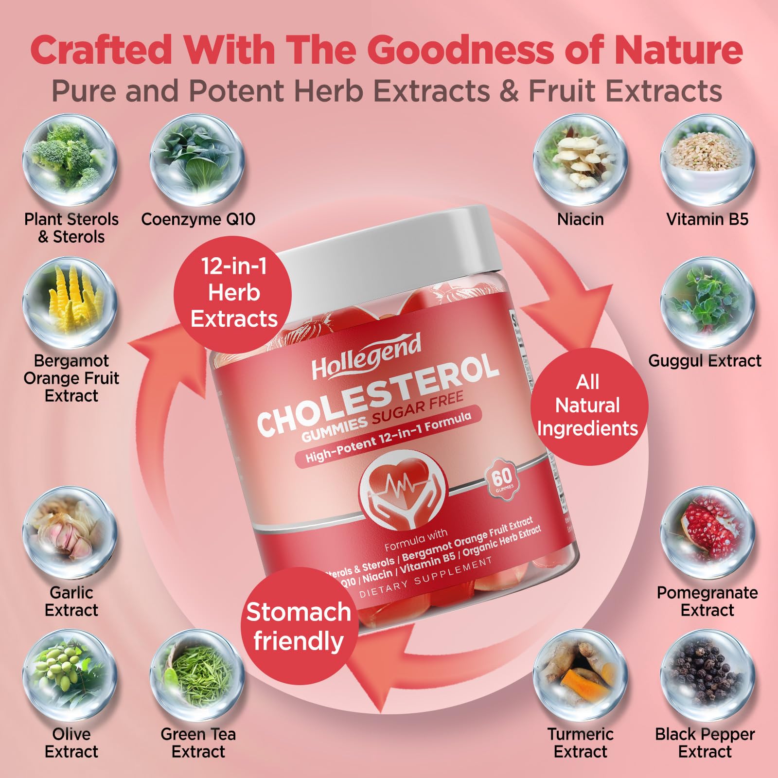 HOLLEGEND Cholesterol Supplements Gummies Sugar Free, 1500mg Plant Sterols for Cholesterol Health, Plus Citrus Bergamot, CoQ10 & Vitamins for Heart Health, Vegan, Mixed Berry Flavor, 60 Chewables HOLLEGEND Au supplements