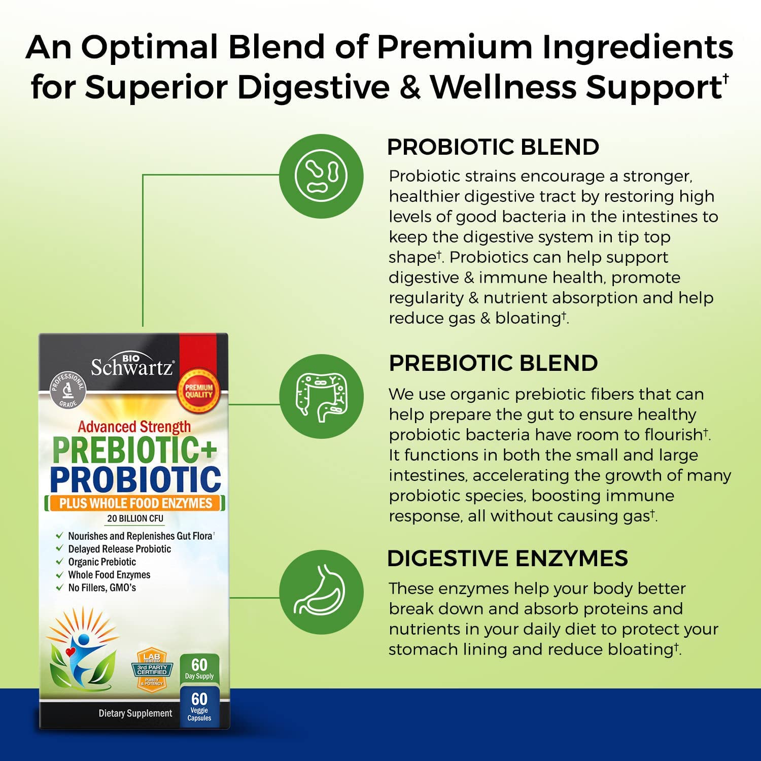Prebiotics and Probiotic with Whole Food Enzymes for Adults Women & Men BioSchwartz Au supplements