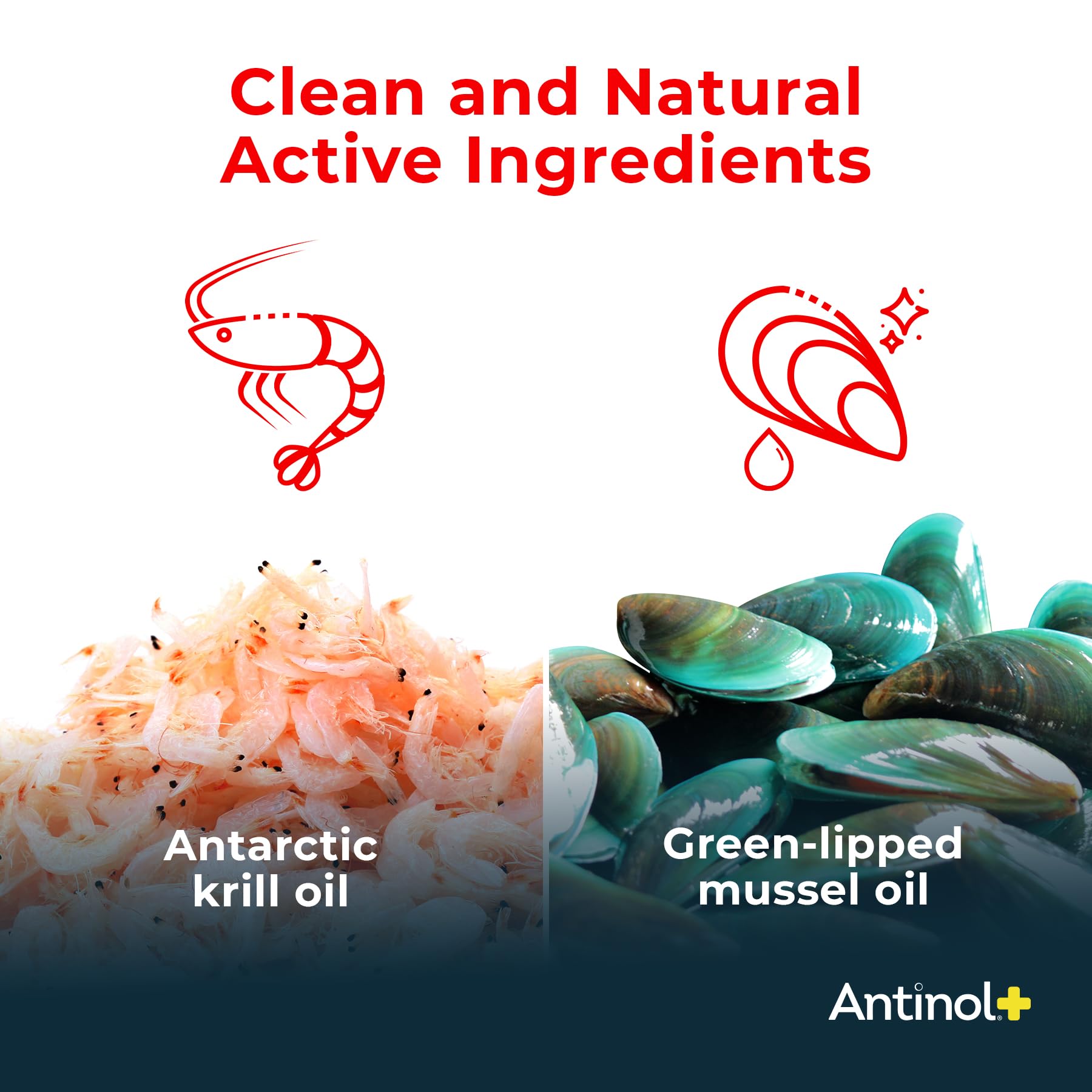Antinol Plus, Mobility, Hip, and Joint Supplement for Cats, Green-Lipped Mussels and Krill Oil - Cat Joint Supplement, 60 Soft Gels Antinol Au supplements