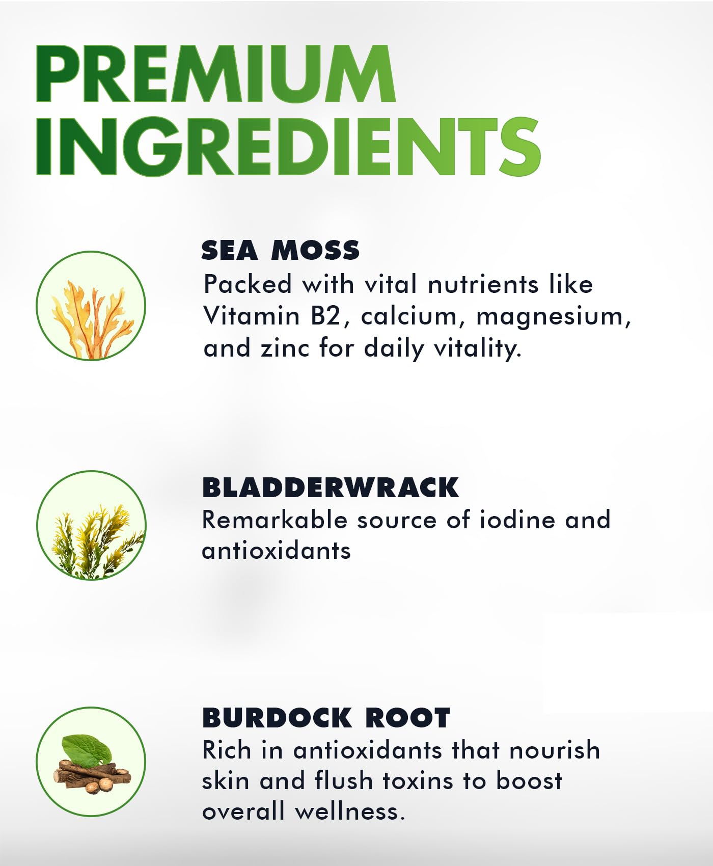 BIO VITALICA Sea Moss Gummies – with Bladderwrack & Burdock Root – Wildcrafted Gel + Powder – Vegan, Keto, Non-GMO, Gluten-Free – Fruity Mineral-Rich Gummies – 50 Count (3 Pack) BIO VITALICA Au supplements