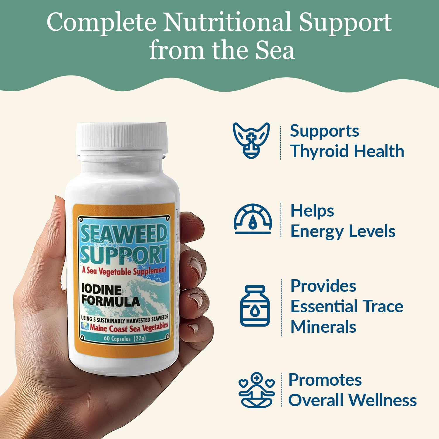 Maine Coast Sea Vegetables Seaweed Support Iodine Formula | Source of Iodine from Seaweed | Daily Use Iodine Supplement | Organic Alaria, Rockweed, Sea Lettuce, Dulse & Bladderwrack blend | 60 Capsule Maine Coast Sea Vegetables Au supplements