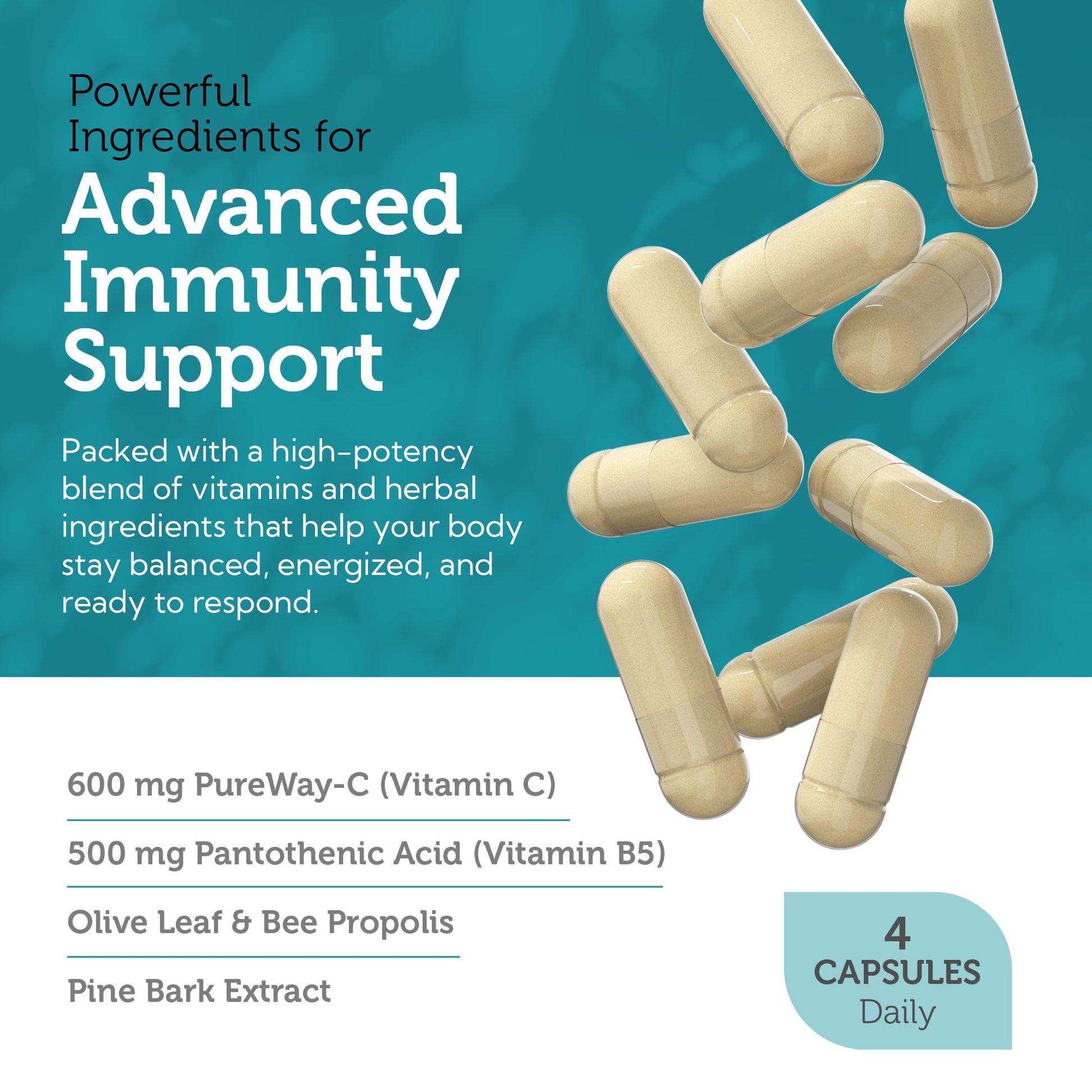 Zahler Immune Defense, Immune System Support, Certified Kosher, 120 Capsules Zahler Au supplements