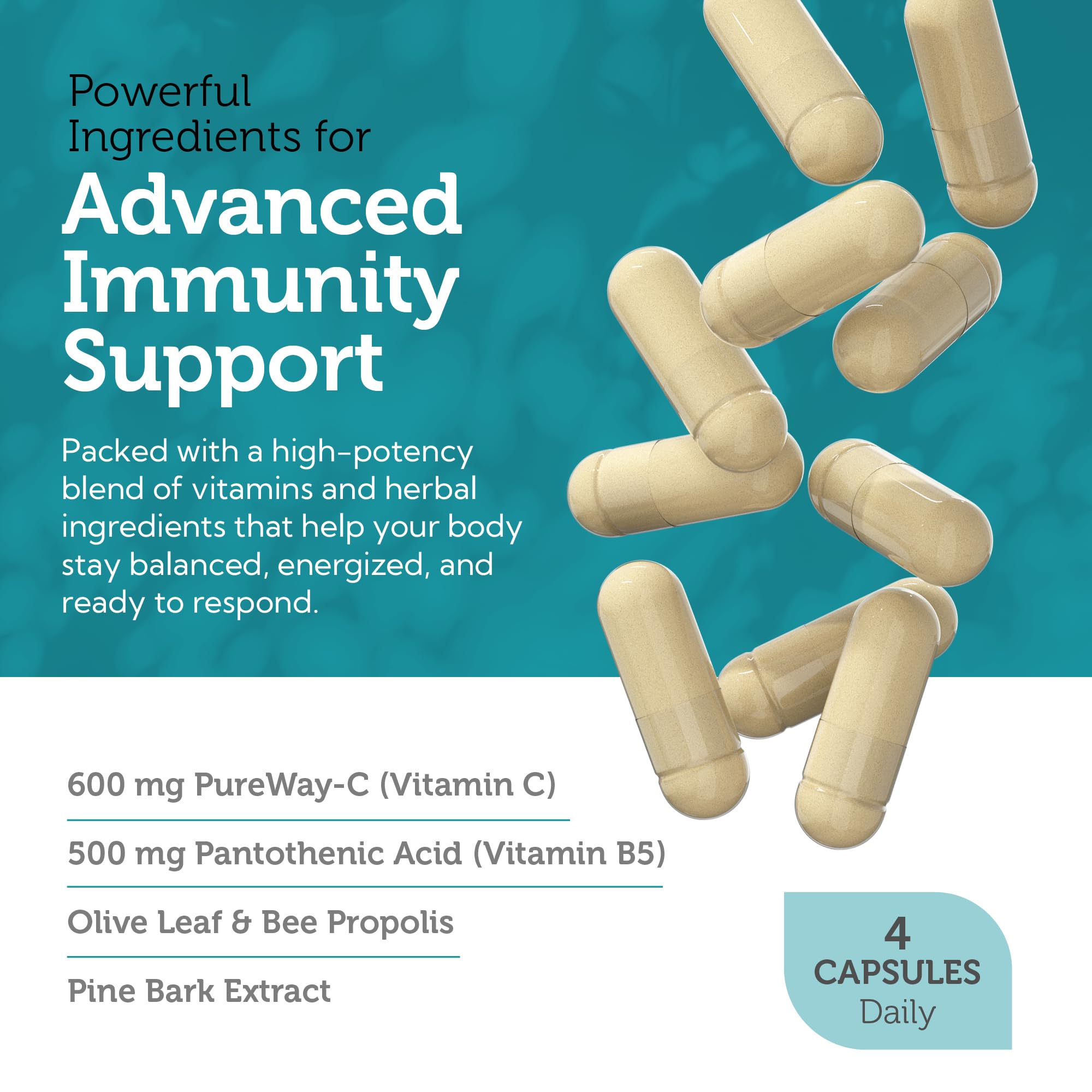 Zahler Immune Defense, Immune System Support, Certified Kosher, 120 Capsules Zahler Au supplements