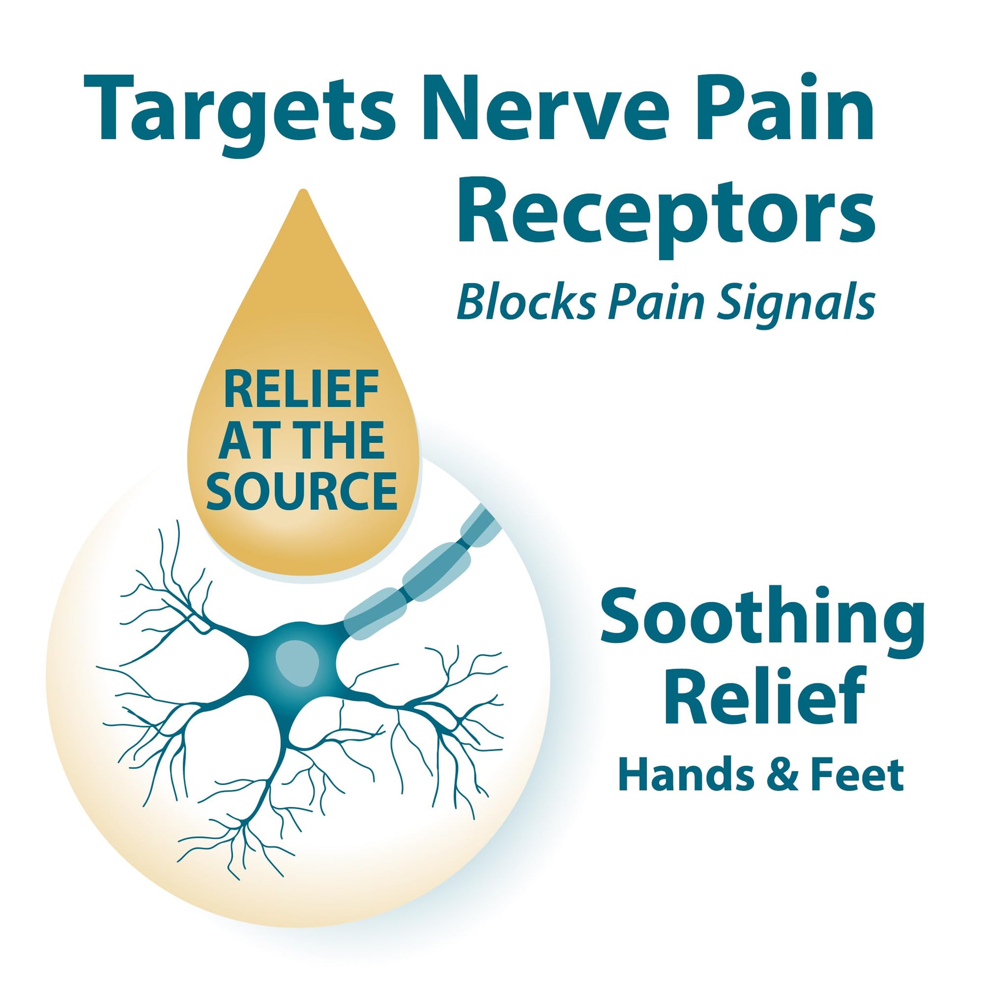 Frankincense & Myrrh Foot Pain Relief Cream - Intensive Foot Therapy Lotion - Diabetic Nerve Pain Relief Cream | Restless Leg Syndrome | Frankincense Essential Oil, 3 Ounce (1-Pack) FRANKINCENSE & MYRRH Au supplements