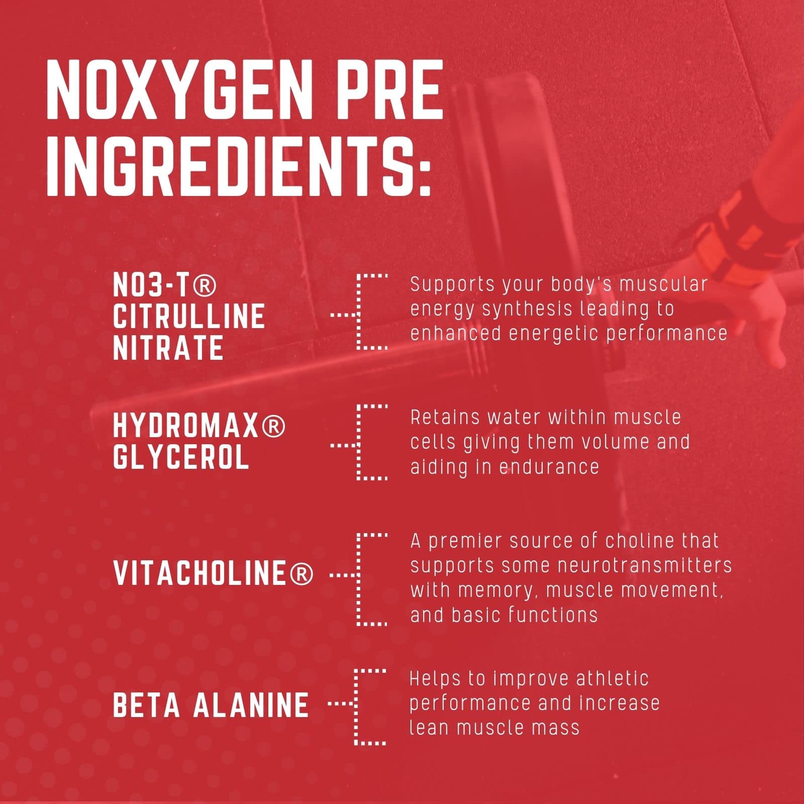 Purus Labs NOXYGEN PREWORKOUT Powder, 30 Servings (Gummy Bear) Purus Labs Au supplements