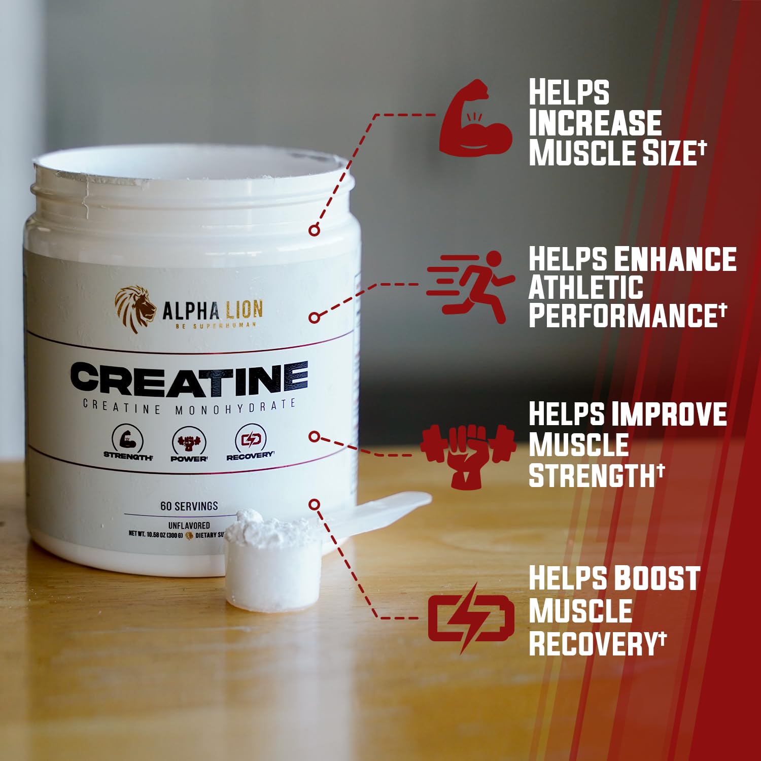 ALPHA LION Creatine Monohydrate Powder, 5000mg Per Serving (5g), Supports Muscle Strength, Power, Athletic Performance, Pure Creatina Monohydrata en Polvo Supplement (60 Servings, Unflavored) ALPHA LION Au supplements
