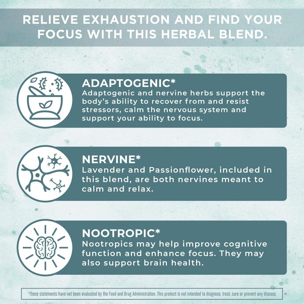 MaryRuth Organics Nootropic Focus Supplement for Adults | USDA Organic | Ginkgo Biloba MaryRuth Organics Au supplements