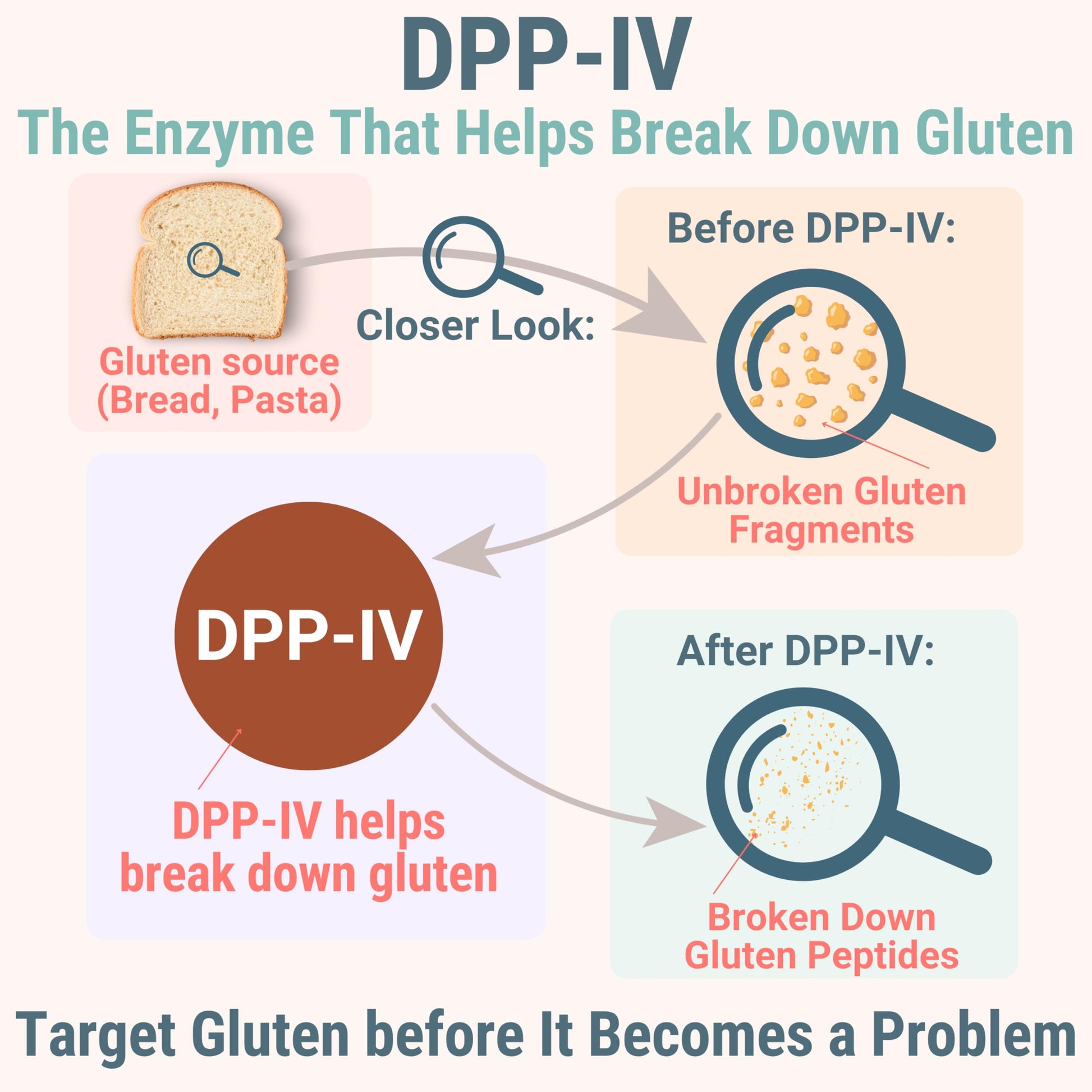 Gluten & Lactase Digestive Enzyme Gummies – Lactase Pancreatic Enzymes with DPP‑IV Lipase Gluco‑Amylase Lactase, Drops Chewables Capsules Pills Powder Supplement Alt, Pancreatic Support, for Kids SHIZAM Au supplements