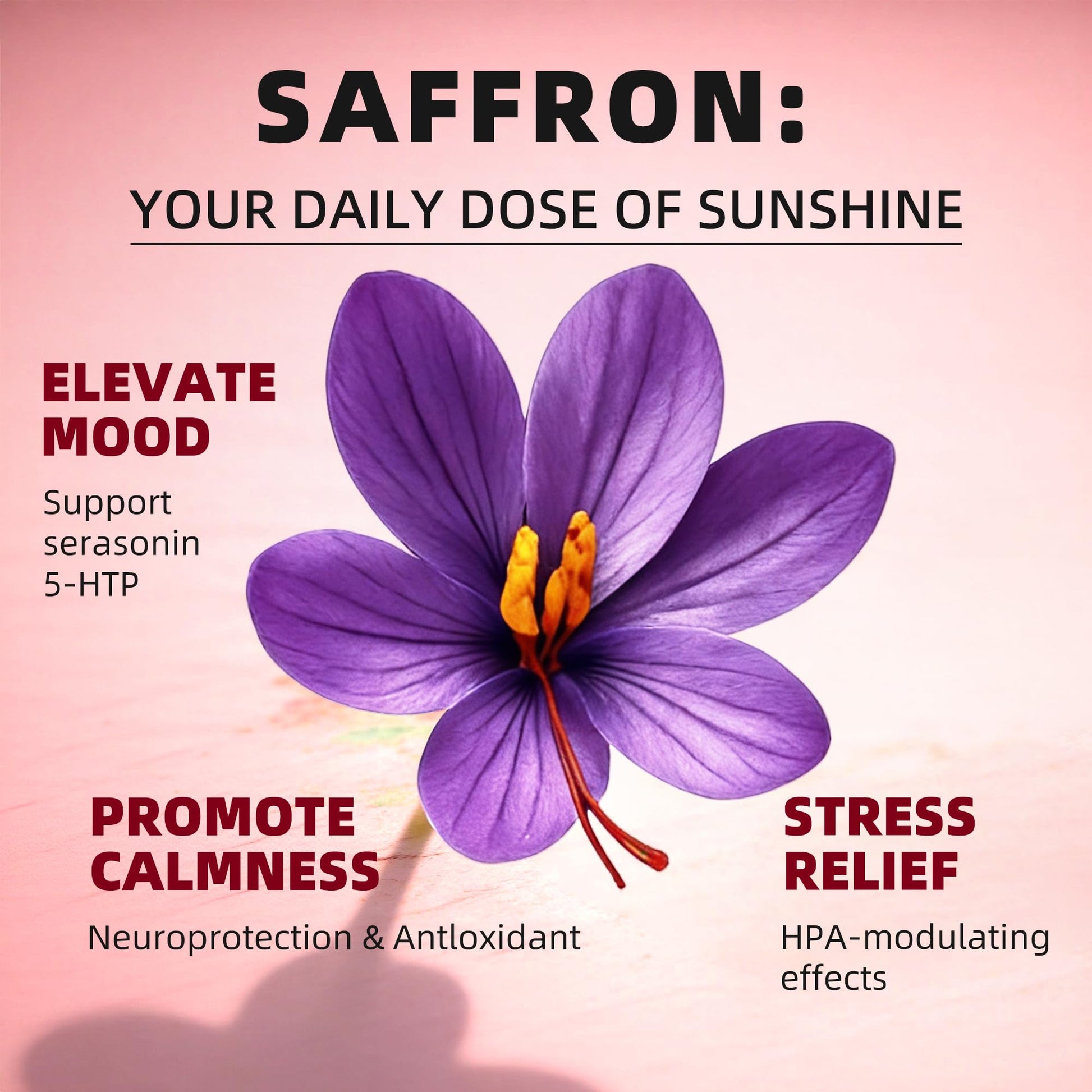 GREENPEOPLE Saffron Extract Supplements Drop - 24-in-1 88.5mg Saffron Extract with Ashwagandha,Black Cohosh & Lion's Mane for Mood&Focus,Stress Relief,Cortisol Reducer,Menopause – Vegan 2FL OZ GREENPEOPLE Au supplements