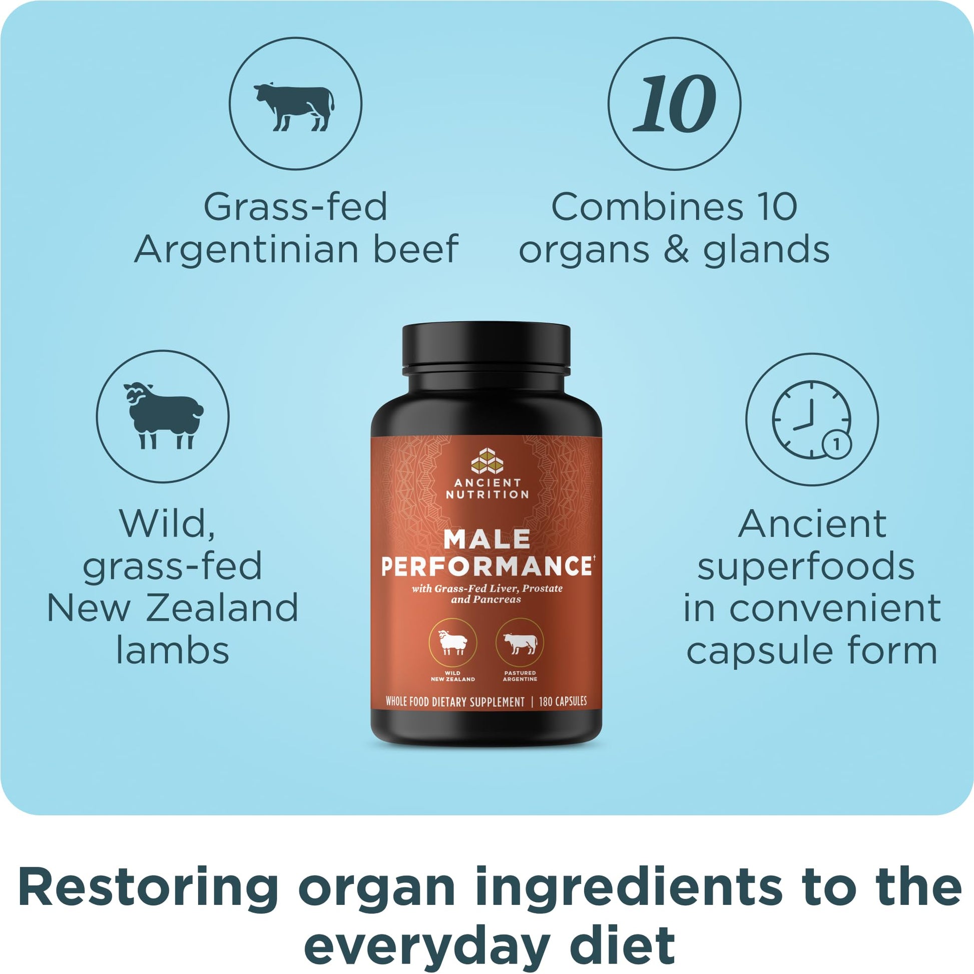 Ancient Nutrition Organ Supplements for Men, Grass-Fed and Wild Organ Complex Capsules, Liver, Prostate, Pancreas Supports Male Performance, Healthy Aging, 180 Ct Ancient Nutrition Au supplements