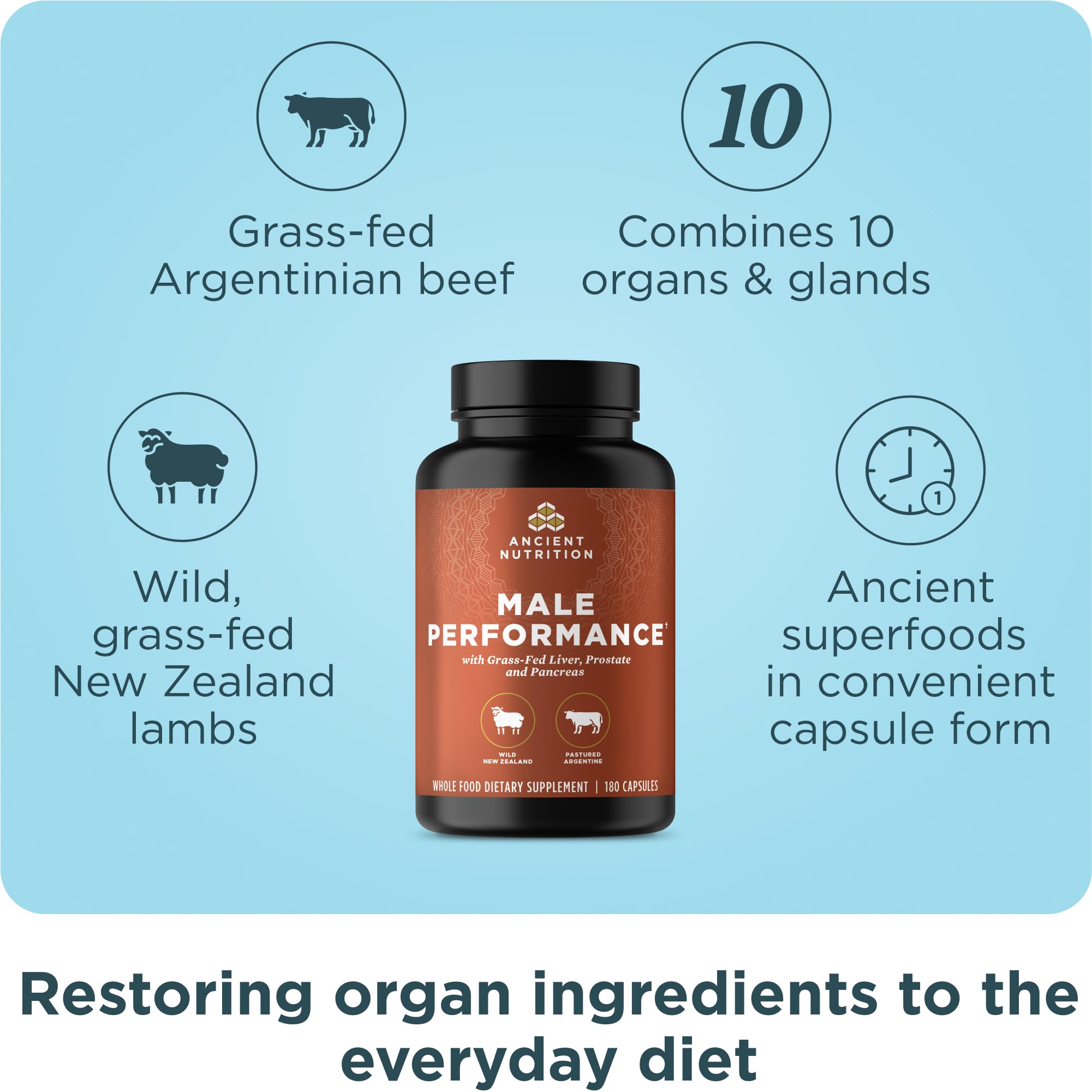 Ancient Nutrition Organ Supplements for Men, Grass-Fed and Wild Organ Complex Capsules, Liver, Prostate, Pancreas Supports Male Performance, Healthy Aging, 180 Ct Ancient Nutrition Au supplements