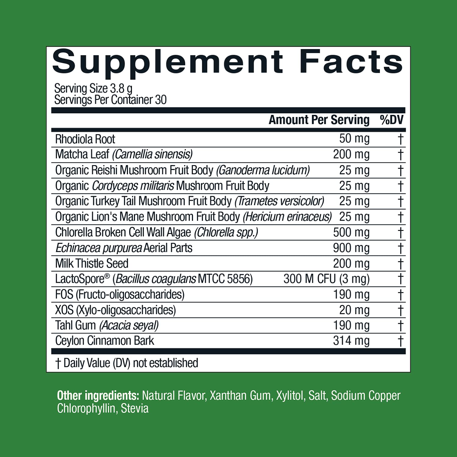 Live Conscious Beyond Greens Superfood Powder - Delicious Debloating Super Greens Powder - Matcha Greens Blend w/Chlorella, Echinacea, Probiotics for Immune Support & Energy Live Conscious Au supplements