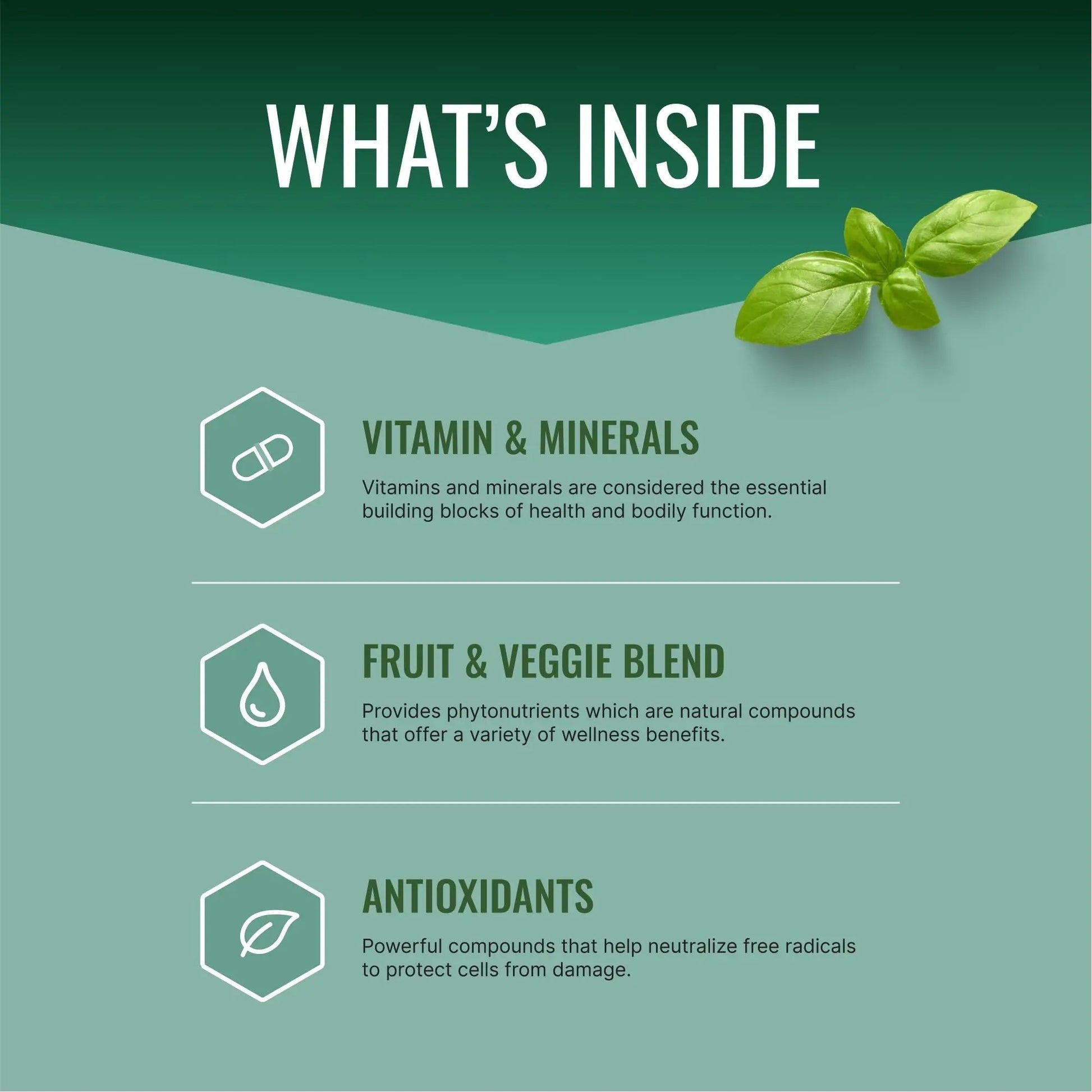 Approved Science Multi-Vitamin - with Full-Spectrum B-Vitamins, Green Tea, Lutein, Lycopene, Zeaxanthin, BioPerine Approved Science Au supplements