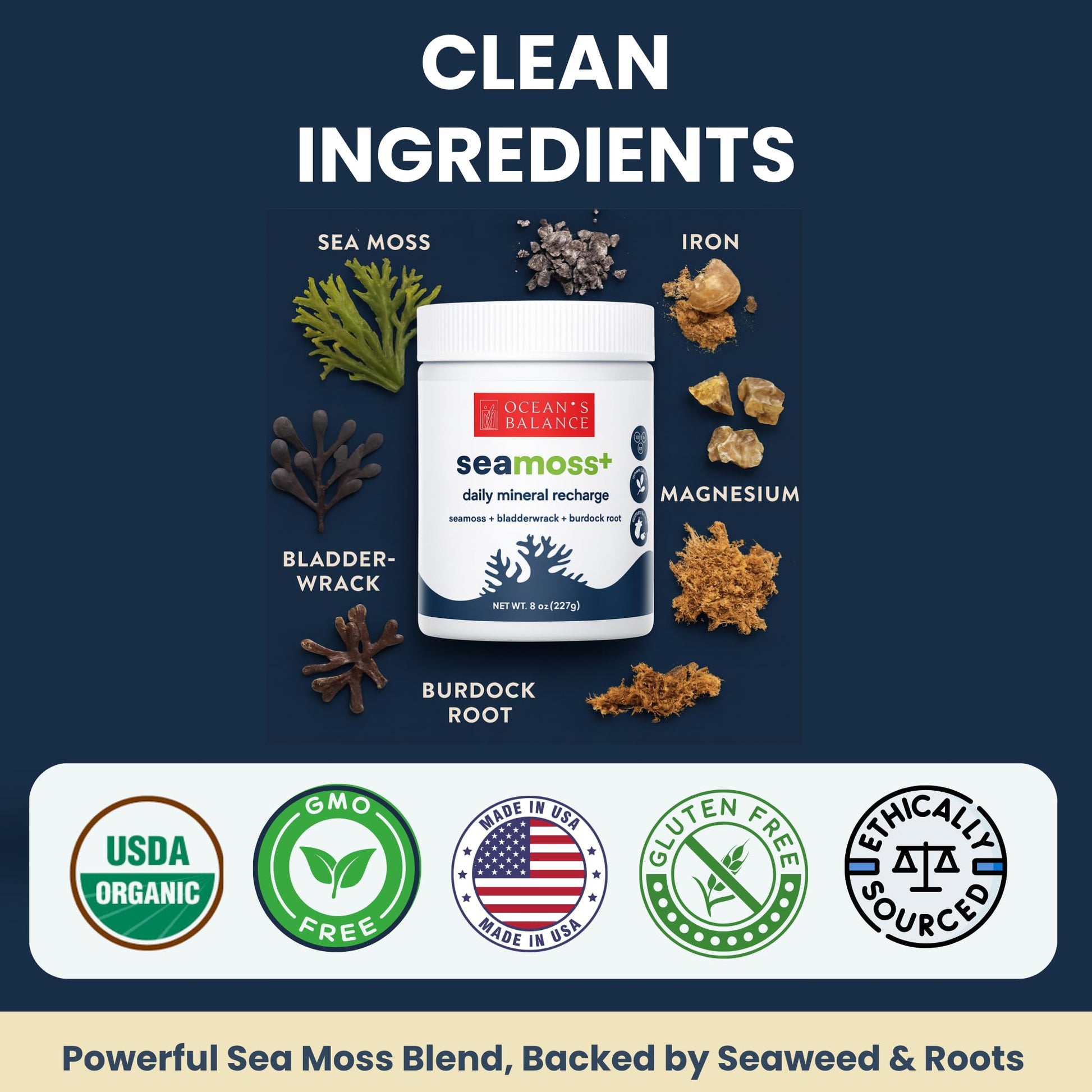 Ocean's Balance Seacleanse+ Daily Detox Cleanse Powder | Gut Health & Immune Support | Supports Gentle Cleanse & Vitality | 8oz Ocean's Balance Clean Taste of Maine Au supplements