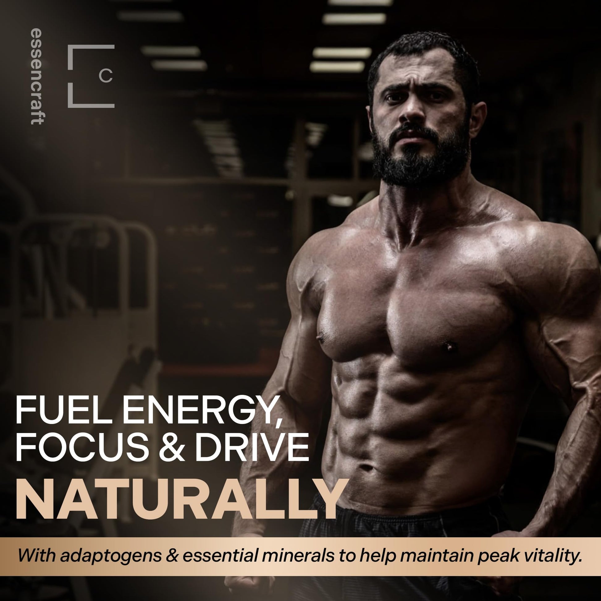 Essencraft Atlas X Testosterone Supplement for Men – 10-in-1 Natural Testosterone Booster & Muscle Booster w/Shilajit, Zinc, Tongkat Ali, & More (120 Capsules) Essencraft Au supplements