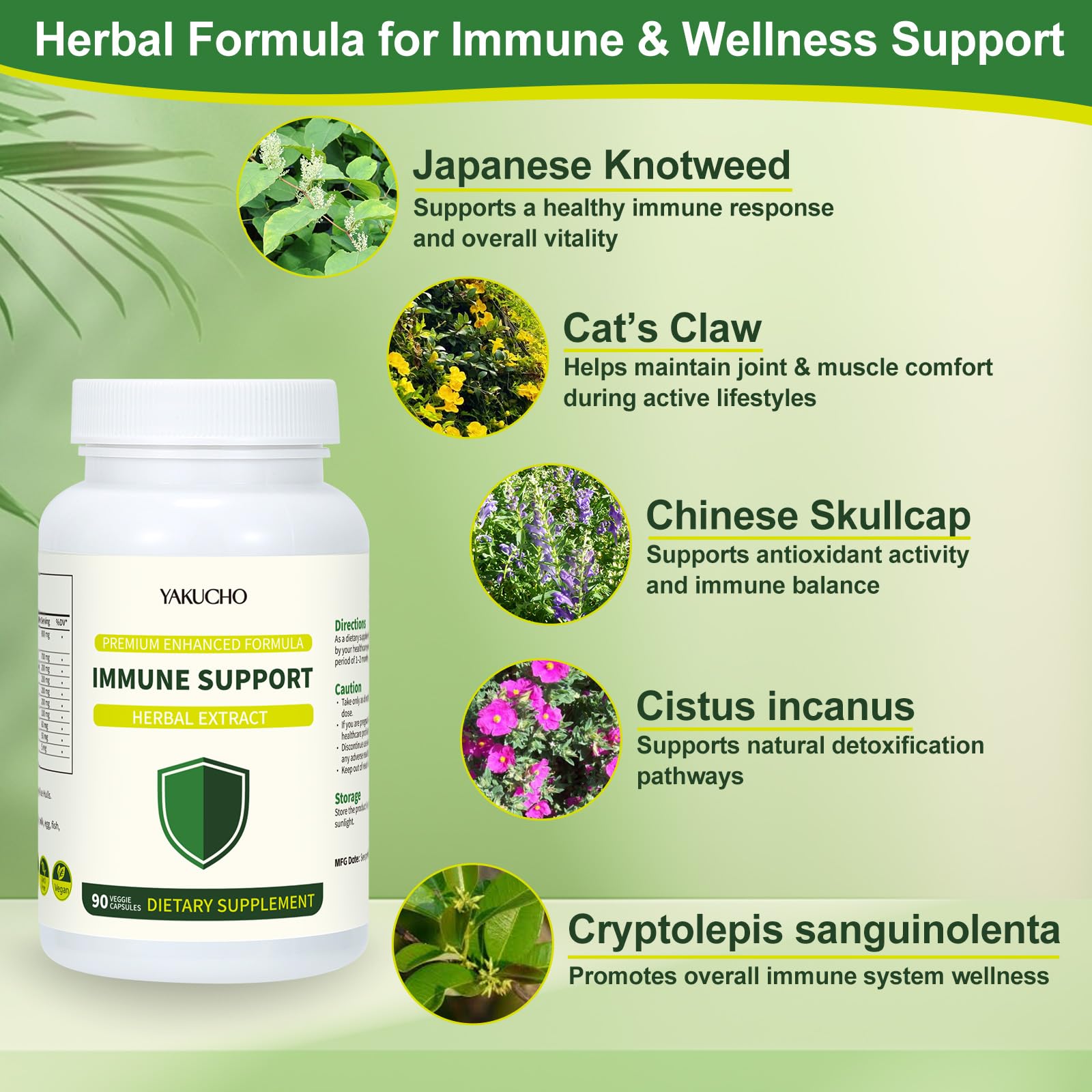Herbal Immune Support Supplement, Vegan Capsules with Japanese Knotweed, Cat’s Claw, Skullcap & Sanguinolenta, Supports Immune Health & Overall Wellness, Gluten-Free Yakucho Au supplements