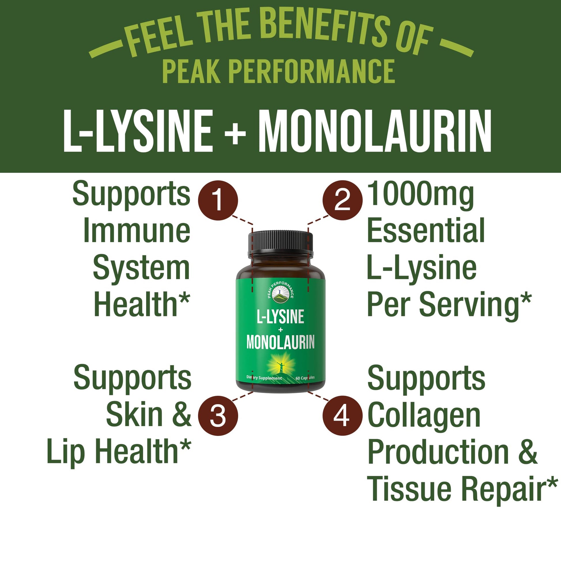 Peak Performance L Lysine 1000mg + Monolaurin 500mg Supplement for Immune Support - High Potency L-Lysine for Lips, Skin, & Health - 2-in-1 Bioavailable Supplements for Men and Women - 60 Capsules Peak Performance Au supplements