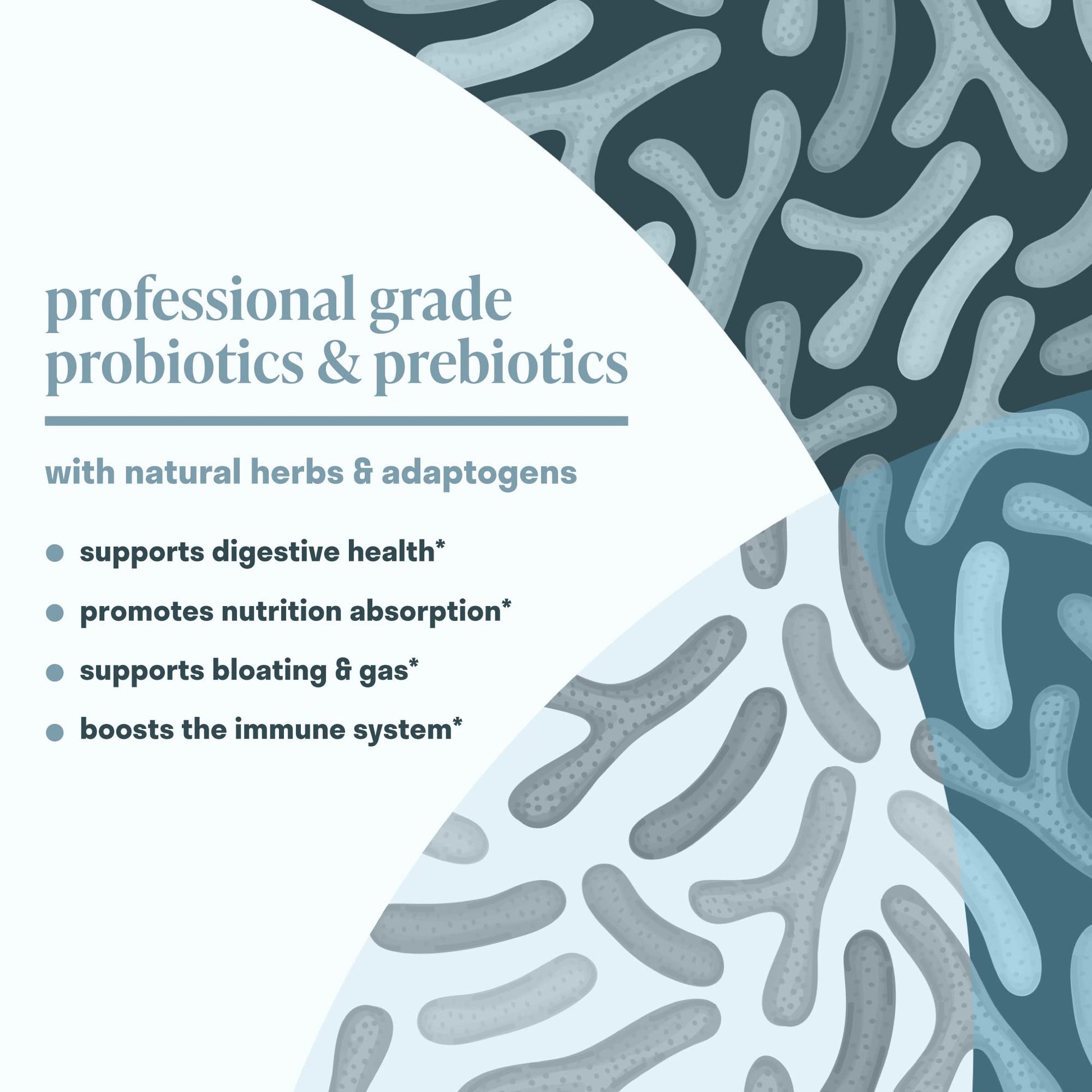 Nuven Naturals All-in-One Gut Health w/Probiotics, Prebiotics, Digestion-Supporting Nuven Naturals Au supplements