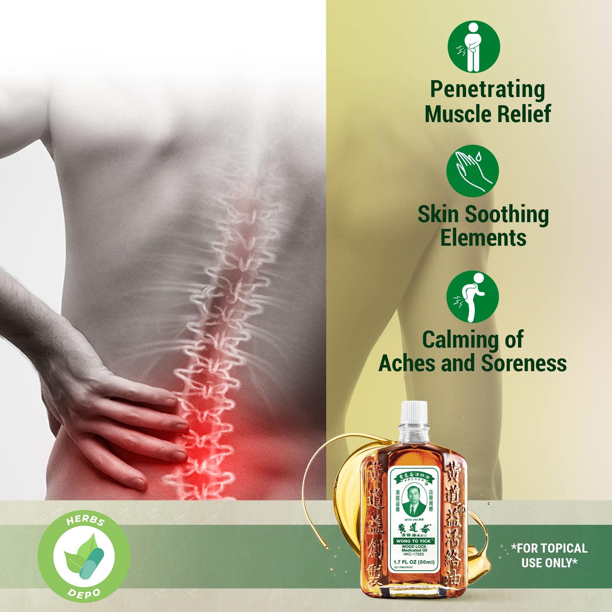 12 Pack of Wong to Yick - Wood Lock Medicated Oil - Herbal Pain Relief for Muscular Aches, Sprains, Shoulder and Back Pain - for Sports Recovery, Soreness - 1.7 Fl Oz - 50 ML - 100% Authentic HerbsDepo Au supplements