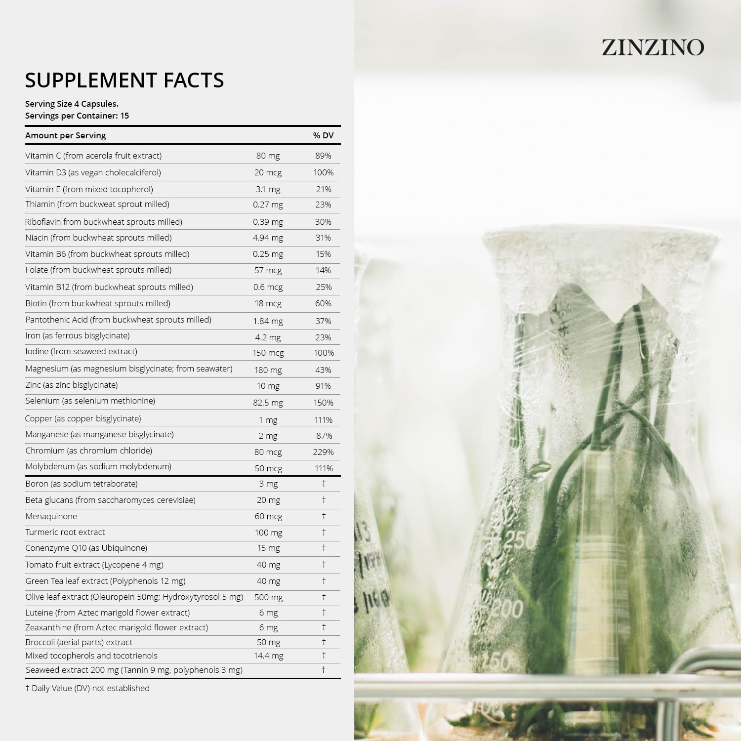 Zinzino Xtend + - Multi Immune Supplement - Essential Vitamins, Minerals & Vitamin C for Immune Support, Energy & Focus - 60 Capsules ZINZINO Au supplements