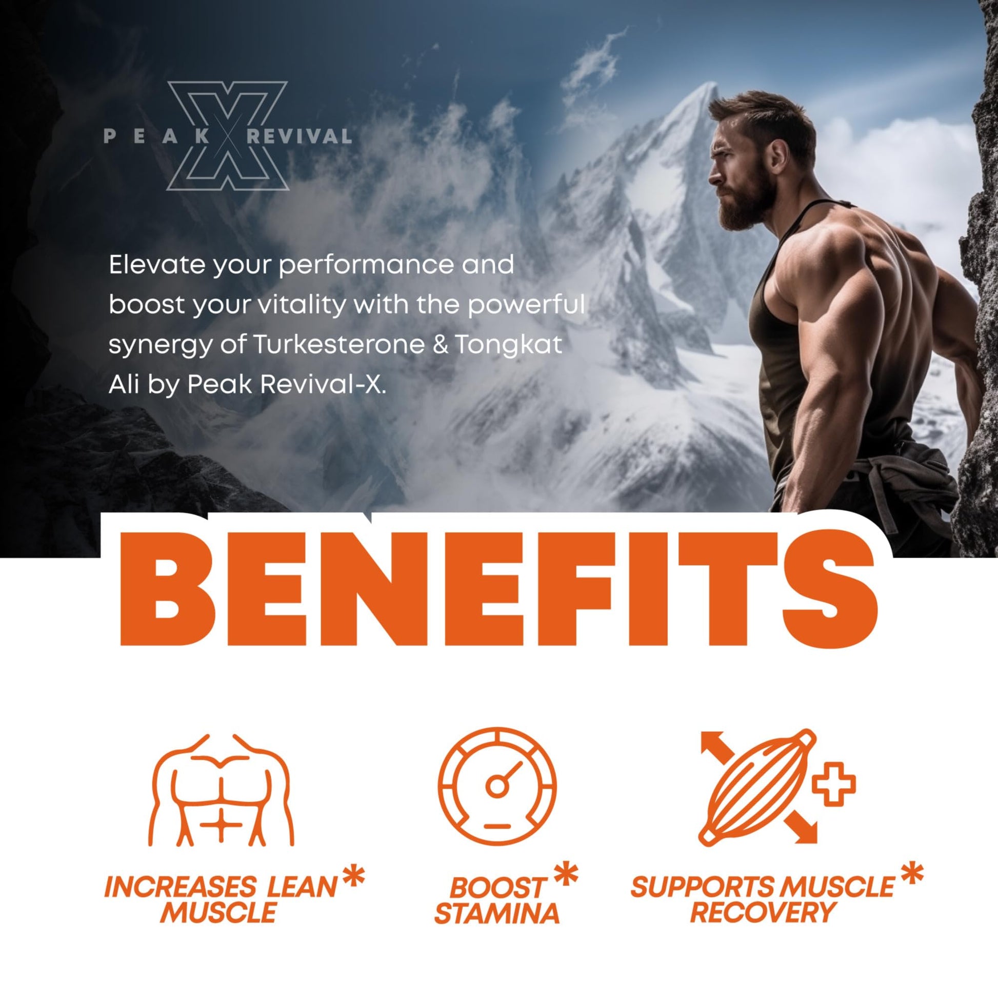 Peak Revival-X Turkesterone & Tongkat Ali 1000mg Supplement - 500mg Ajuga Turkestanica Per Serving Increase Stamina, Lean Muscle Growth & Recovery - Made in The USA (60 Capsules) Peak Revival-X Au supplements