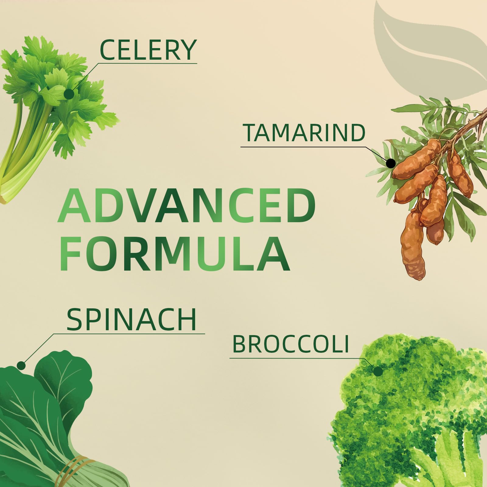 Greenshoots Super Food Gummies with Super Greens Blend, Vitamin A & C – Broccoli, Spinach, Moringa & Chlorella – Vegan, Sugar Free, Daily Nutrition Support, 60 Gummies Greenshoots Au supplements