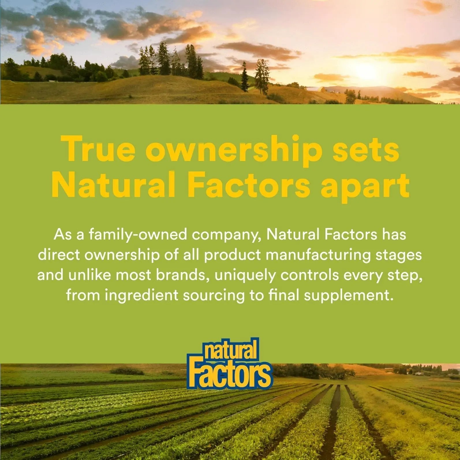 Natural Factors Whole Earth & Sea Men's Multivitamin s& Mineral, 1 Serving Contains Nutrition Equivalent to ½ lb of Veggies, 120 Tablets Natural Factors Au supplements