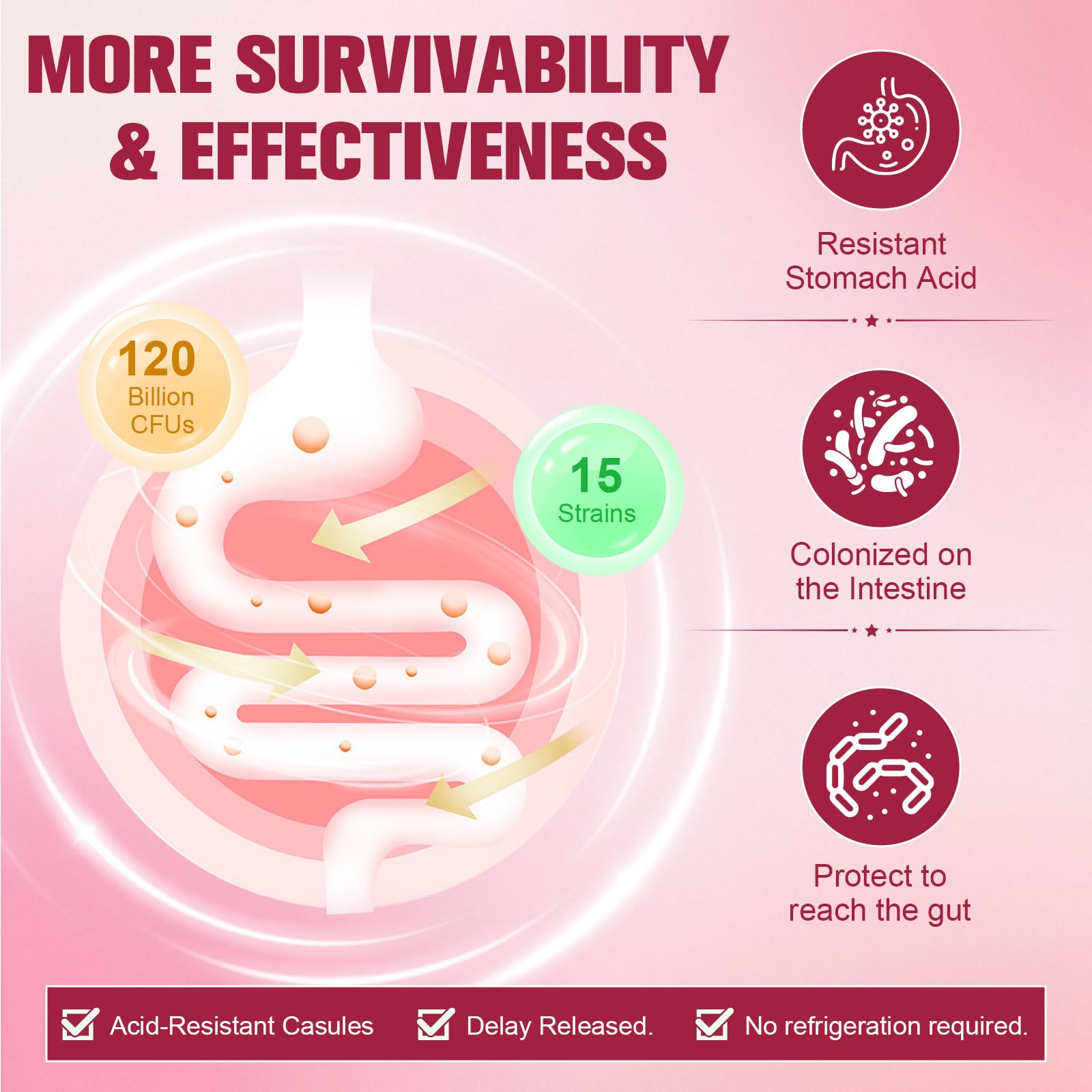 Totaria Probiotics for Women, 120 Billion Women Probiotic, with Akkermansia, Digestive Enzymes & Prebiotics, Cranberry, D-Mannose, for Gut, Vaginal, Urinary, Immune, PH Balance, 120 Vegan Capules Totaria Au supplements
