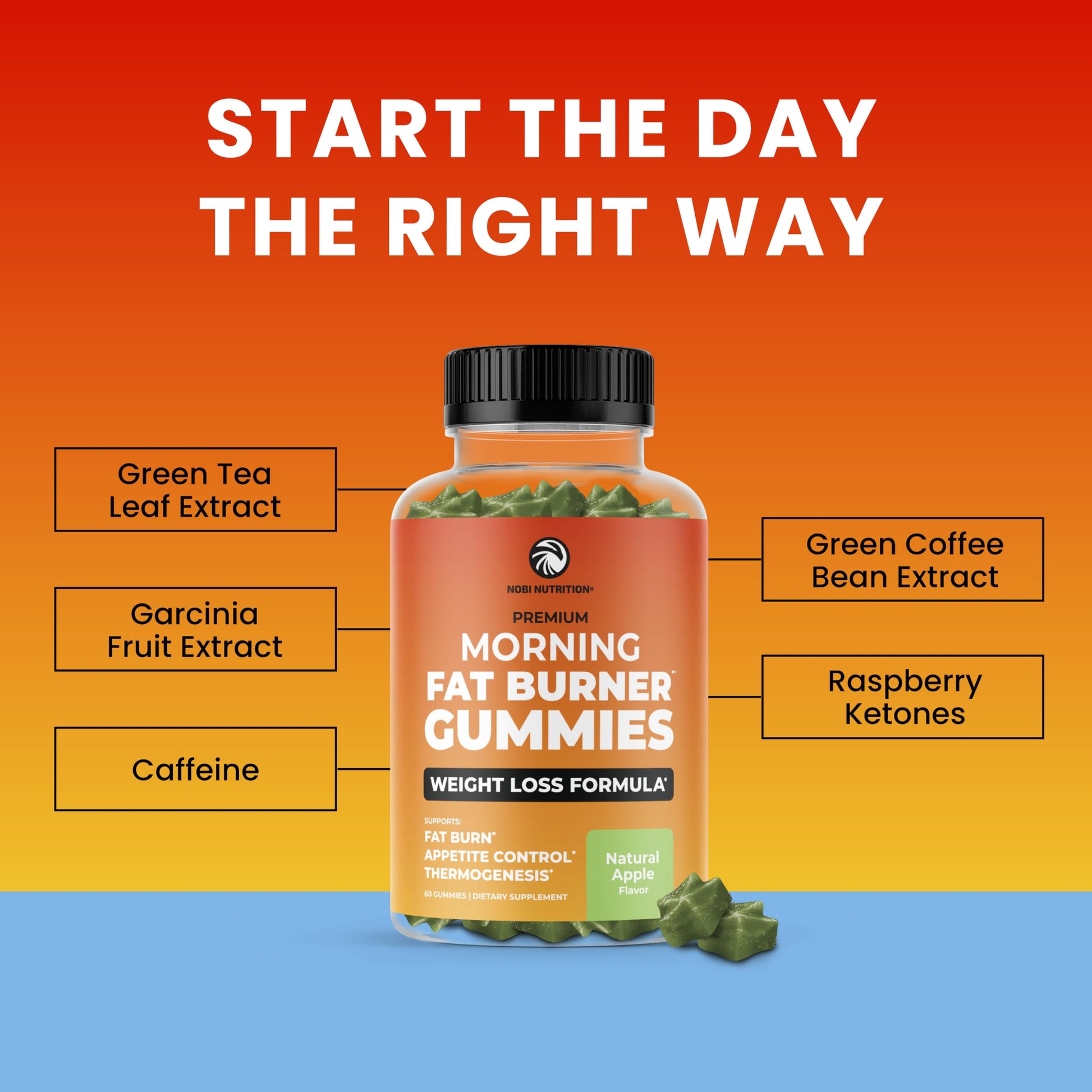 Morning Fat Burner Gummies for Weight Loss for Women & Men | Thermogenic Belly Nobi Nutrition Au supplements