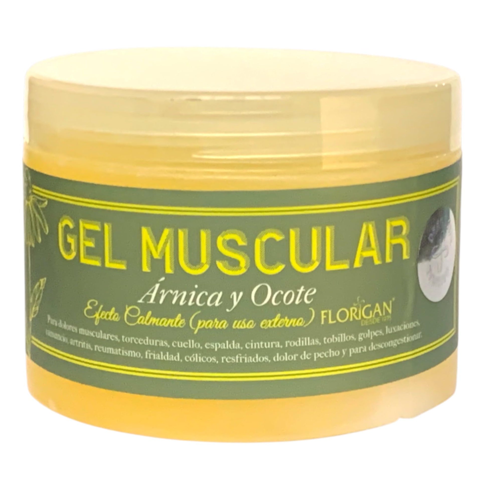 Arnica and Ocote Muscle Gel 350grs. Florigan Au supplements