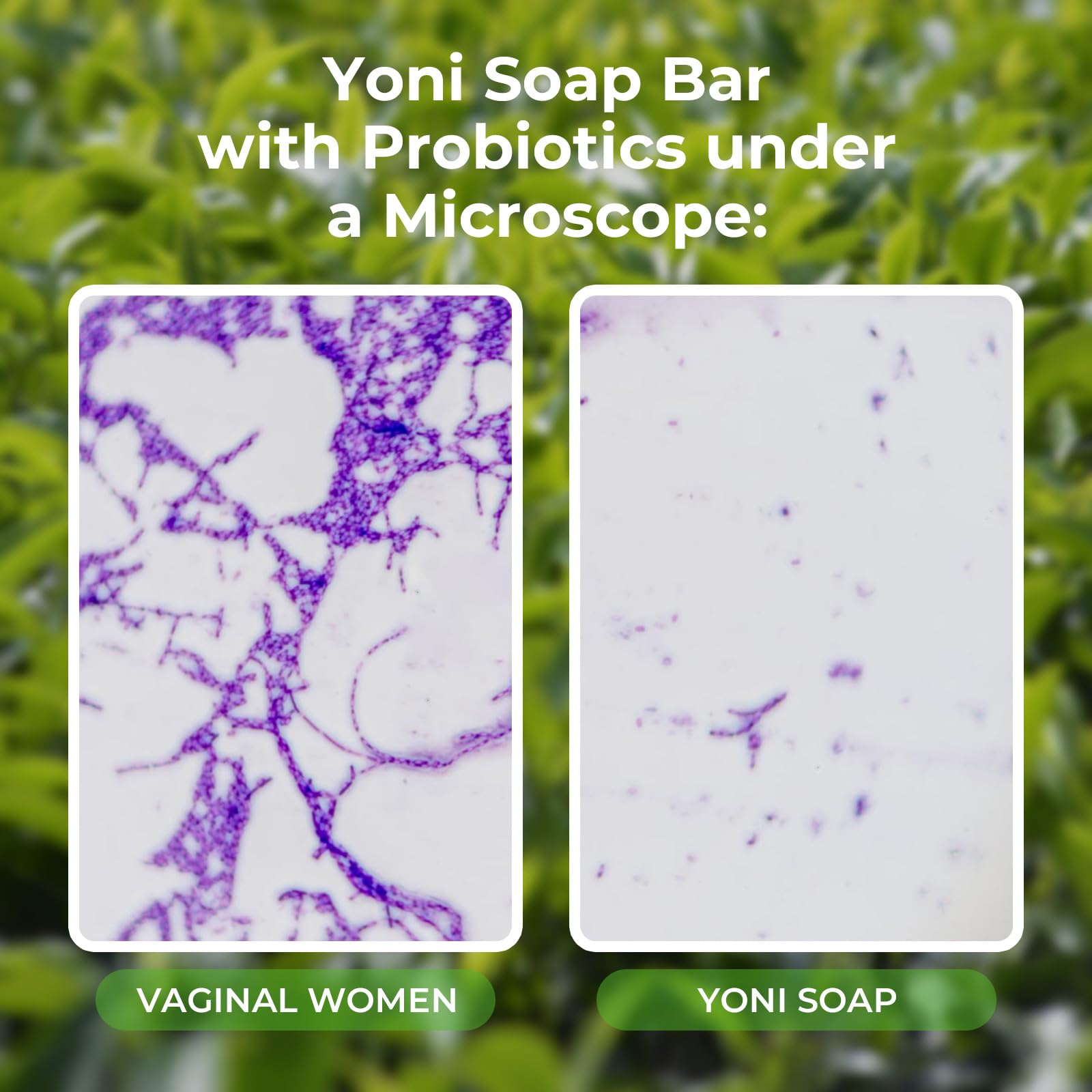 Feminine Wash & Yoni Oil & Yoni Soap Tea Tree Set for Women, Yoni Wash for Vaginal Ph Balance Remove BASSI Au supplements