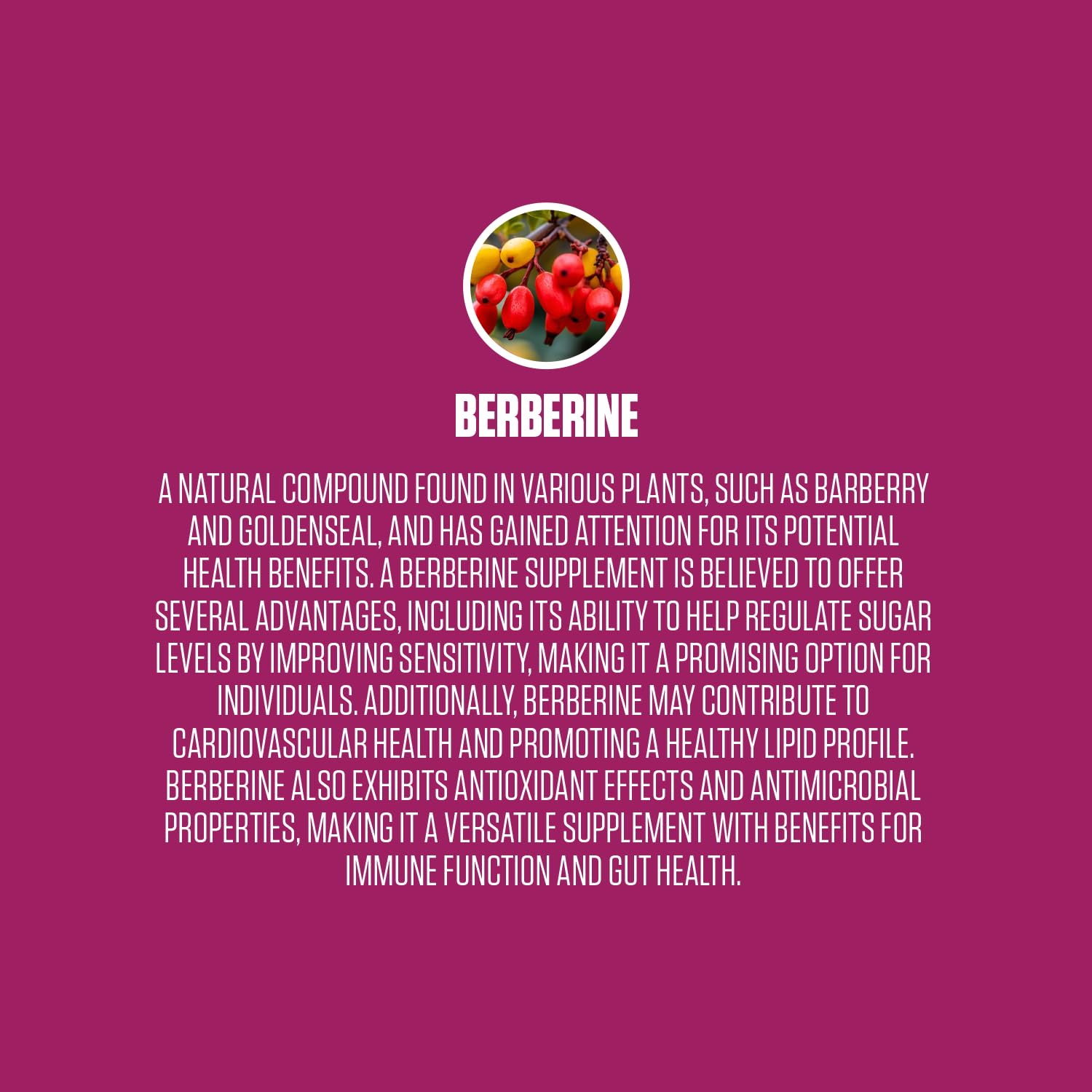 Berberine Extra Strength | #1 Rated Berberine Supplement for Heart Health, Improve Energy EPN Supplements Au supplements
