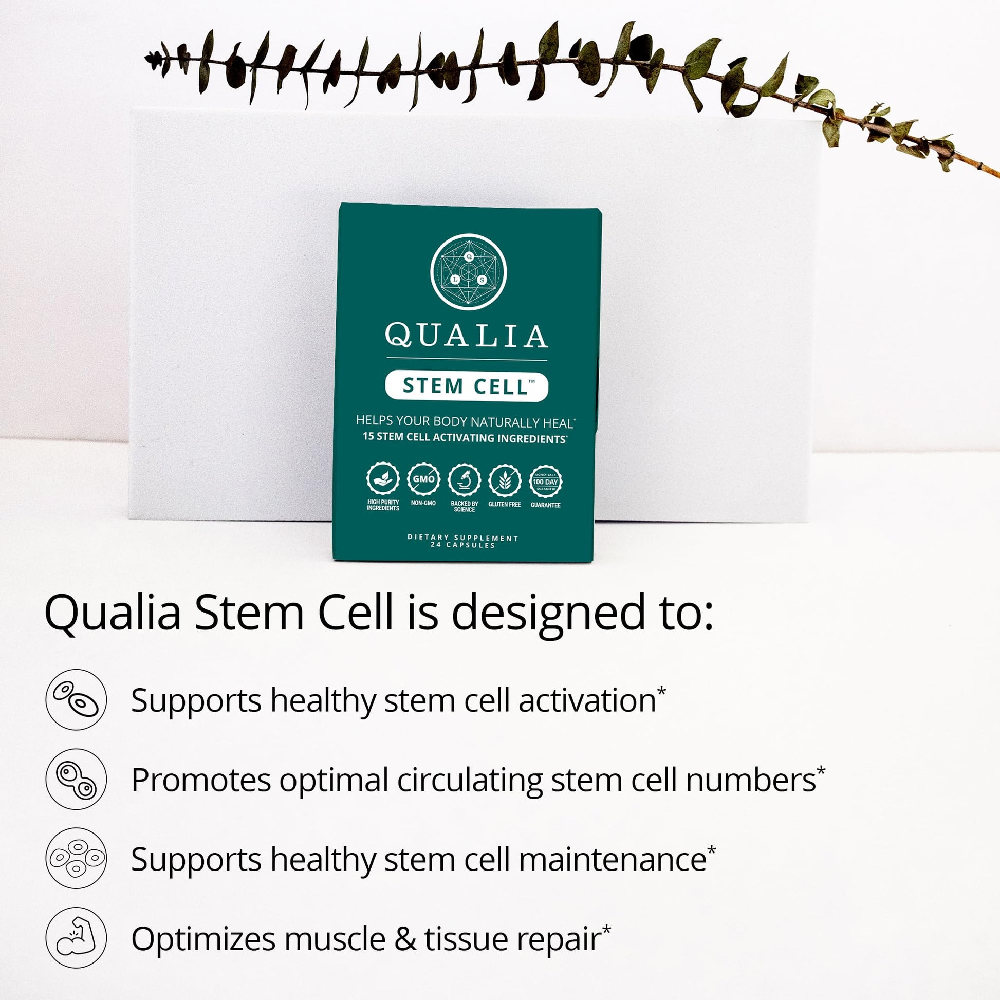 Qualia Stem Cell — Stem Cell Supplement Support with Royal Jelly, Astragalus & Sea Buckthorn | 16 Ingredients | 4 Days a Month | Helps Body Naturally heal* QUALIA LIFE SCIENCES Au supplements