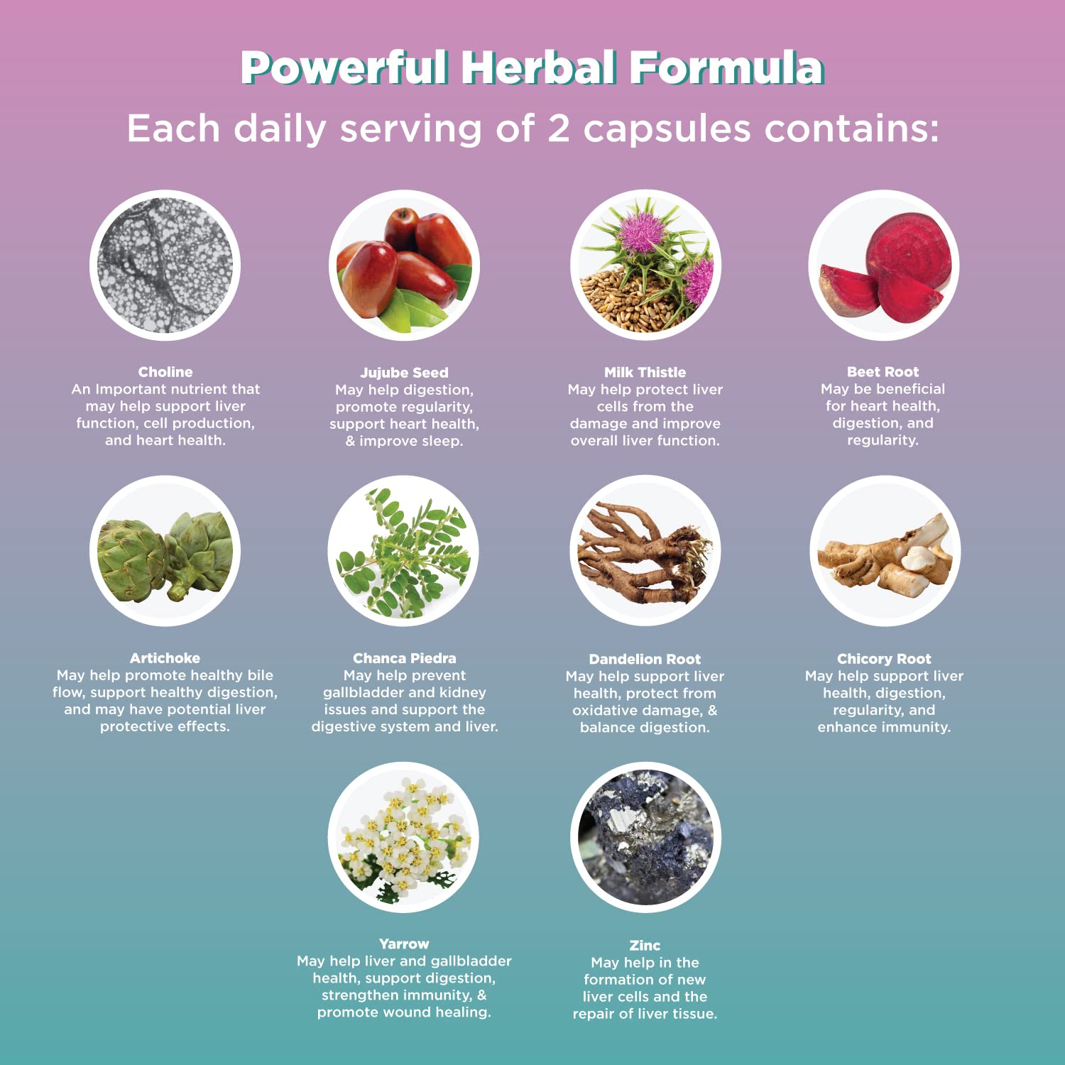 Liver Cleanse Detox & Repair Formula - Herbal Liver Support Supplement Natures Craft Au supplements