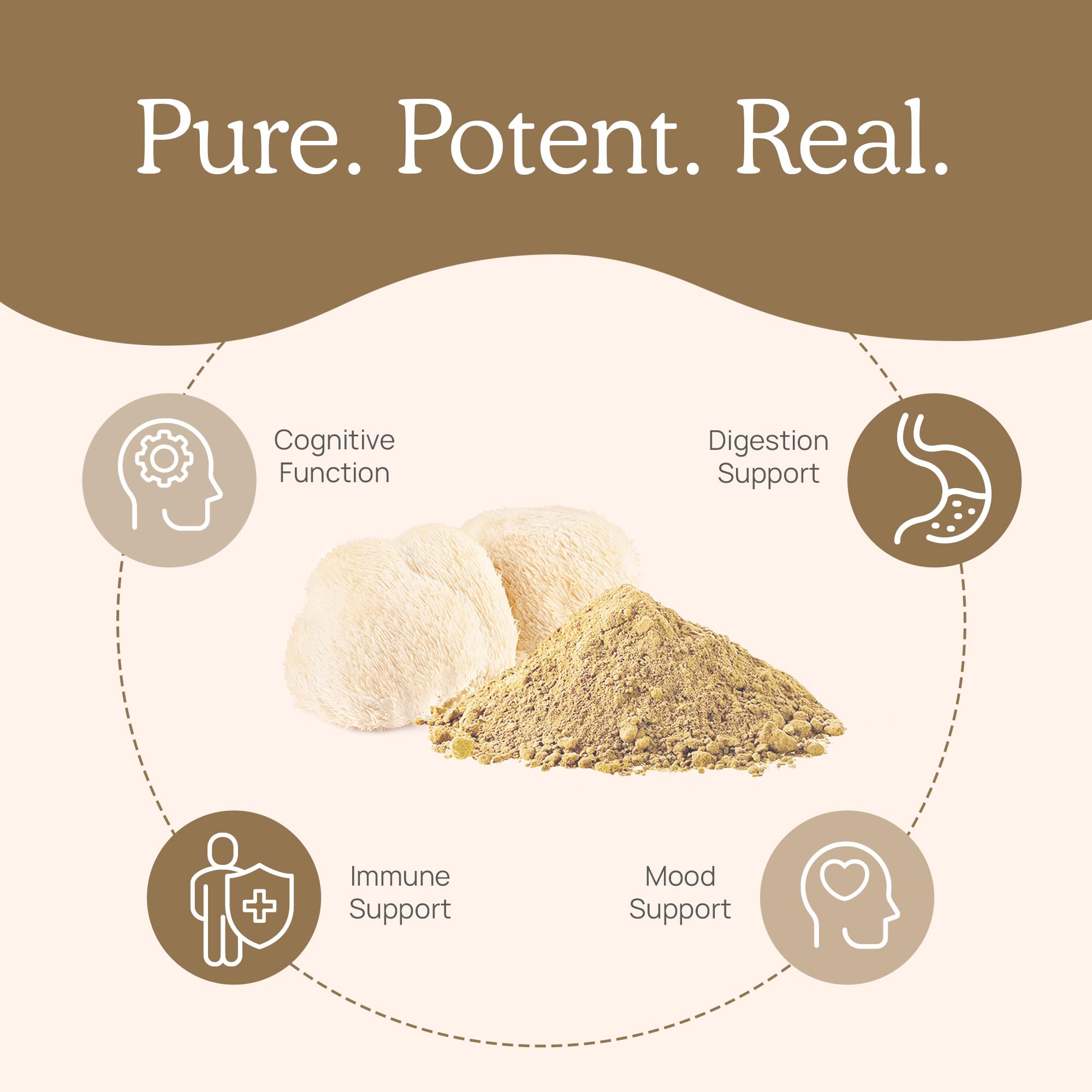 Real Mushrooms Lion’s Mane Powder - Organic Lions Mane Mushroom Extract Real Mushrooms Au supplements