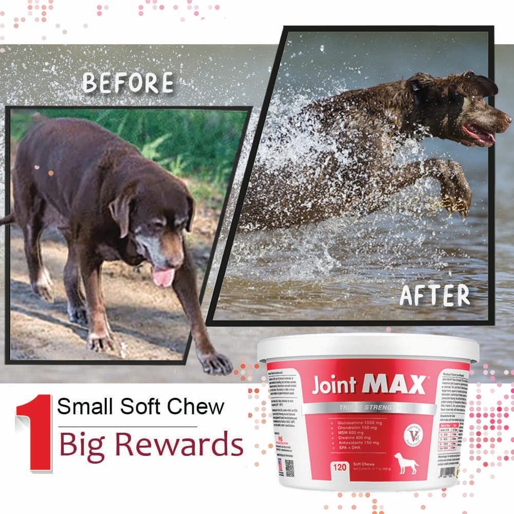 Joint Max TS Joint Supplement Vet Formulated Pain & Inflammation Relief Treats Hip Dysplasia & Arthritis, Glucosamine, Chondroitin, Turmeric, MSM, HA, Creatine, Omega 3 EPA + DHA.120 Soft Chews Joint Max Au supplements