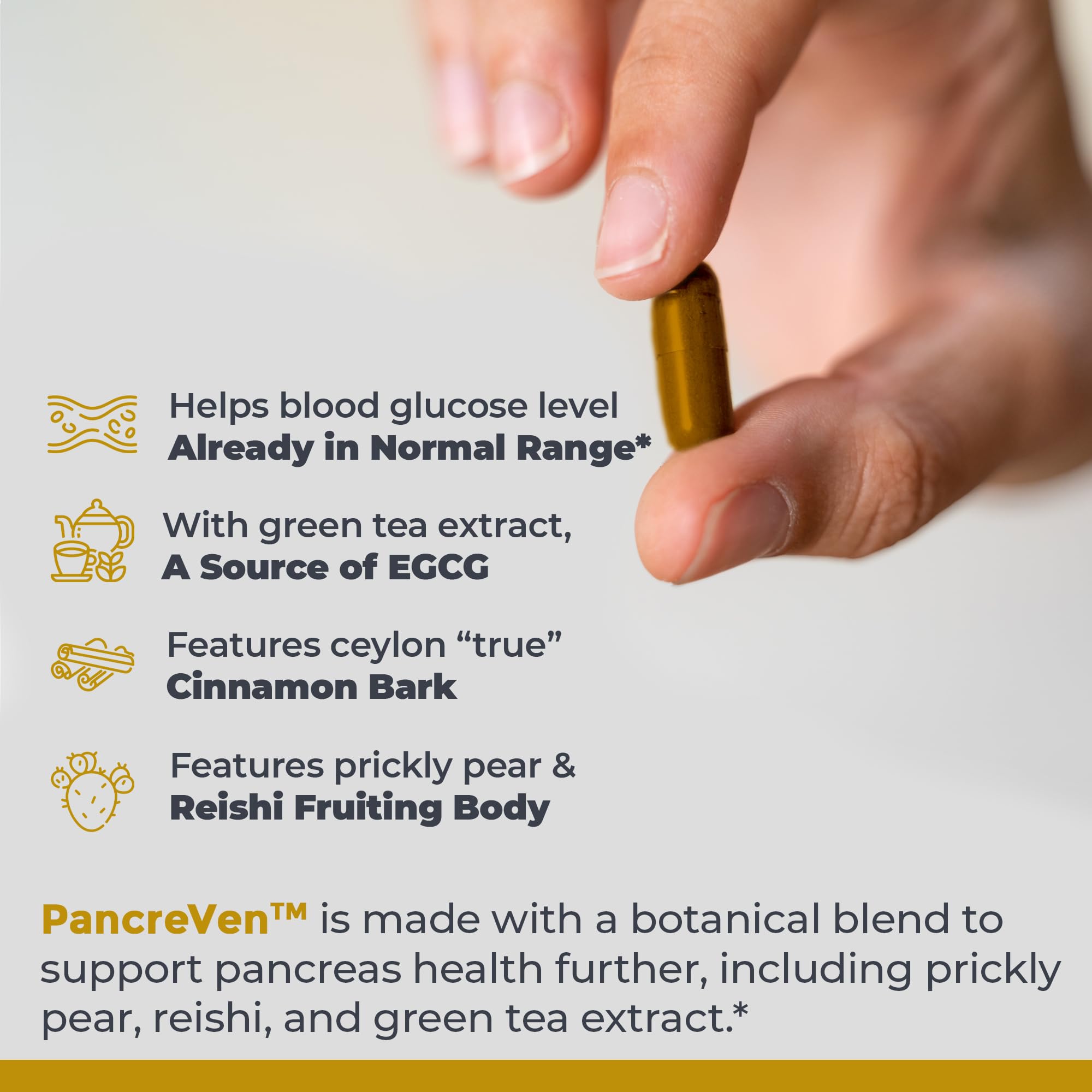 Premier Research Labs PancreVen - Pancreas Support, Pancreas Supplement, Cinnamon Supplements with Organic Ceylon Cinnamon & Prickly Pear to Aid Pancreas Health - 120 Vegetarian Capsules Premier Research Labs Au supplements