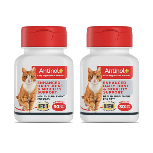 Antinol Plus, Mobility, Hip, and Joint Supplement for Cats, Green-Lipped Mussels and Krill Oil - Cat Joint Supplement, 60 Soft Gels AntinolAU supplements