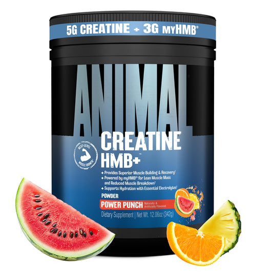 Animal Creatine HMB Powder – 3g myHMB + 5g Creatine with Electrolytes for Recovery & Daily Energy – Power Punch Flavor, 30 Servings AnimalUS supplements