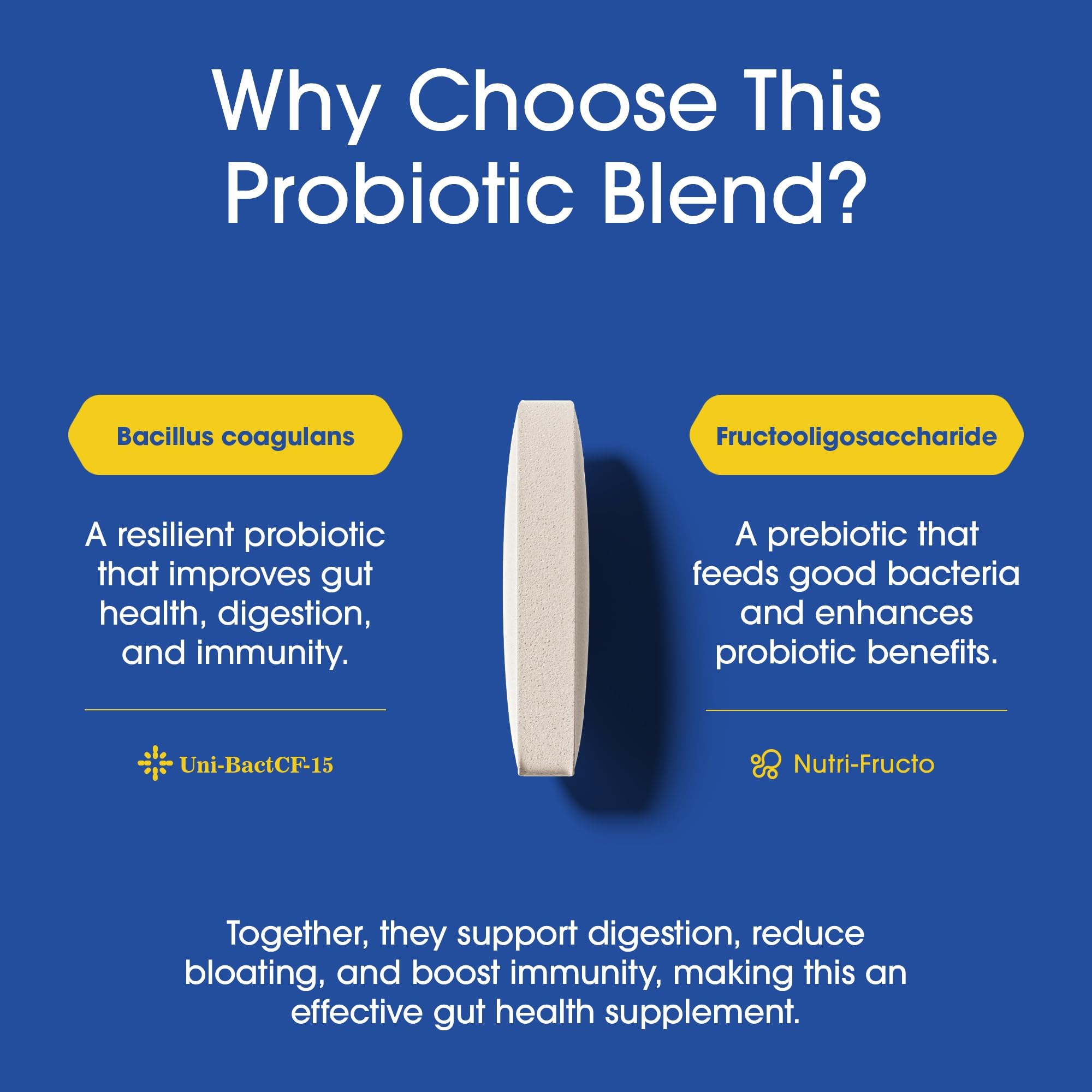 Nutrition Essentials Probiotics for Women and Men - with Lactase Enzyme and Prebiotic Fiber for Digestive Health - 80 Percent + More Potent Supplement for Gut Health Support - Vegan Formula Nutrition Essentials Au supplements
