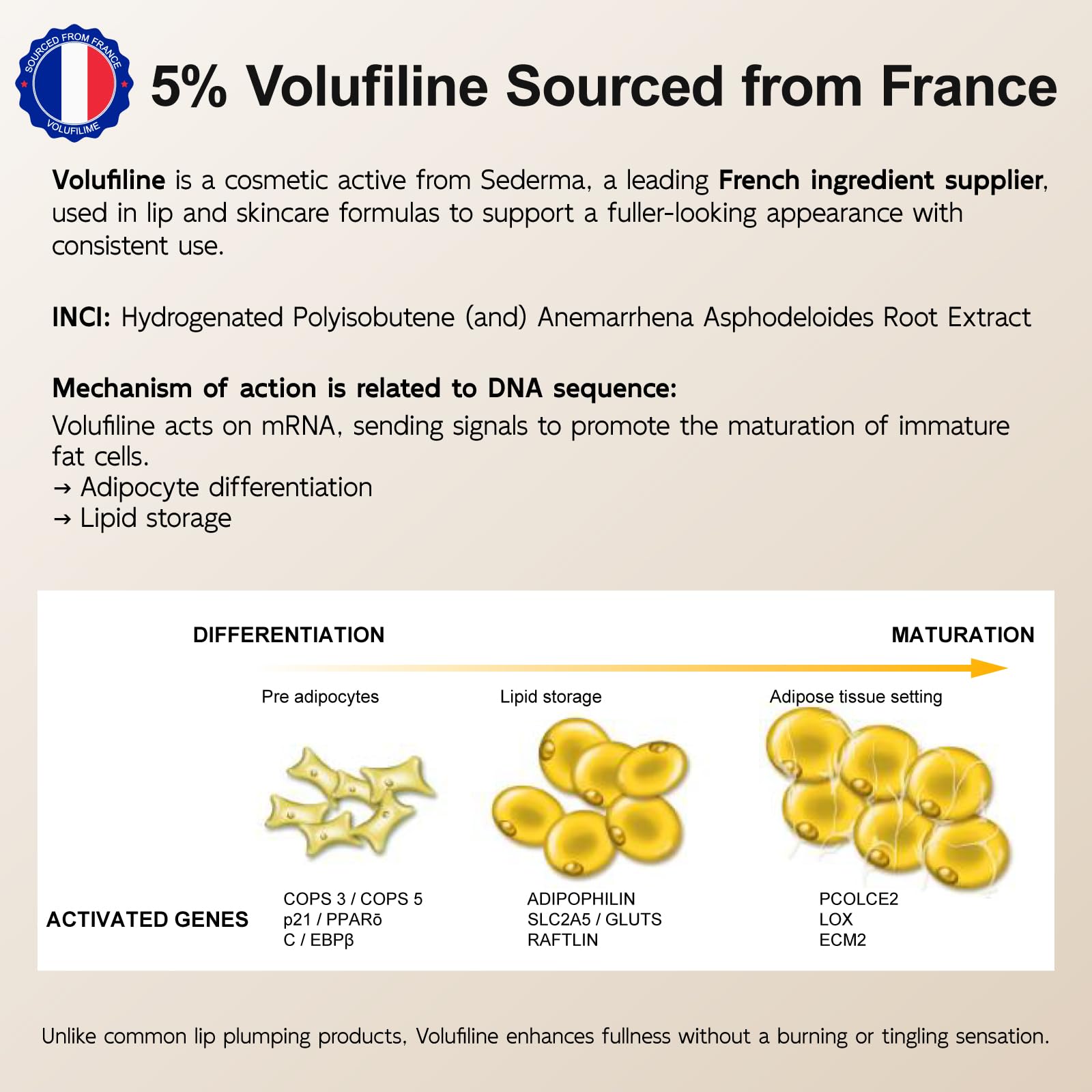 YouthVibe 5% Volufiline Lip Plumper, Nourishing & Anti Aging Over Time with Squalane, Shea Butter, Collagen, Peptide & PDRN - No Burning, No Tingling for Gentle Daily Plumping YouthVibe Au supplements