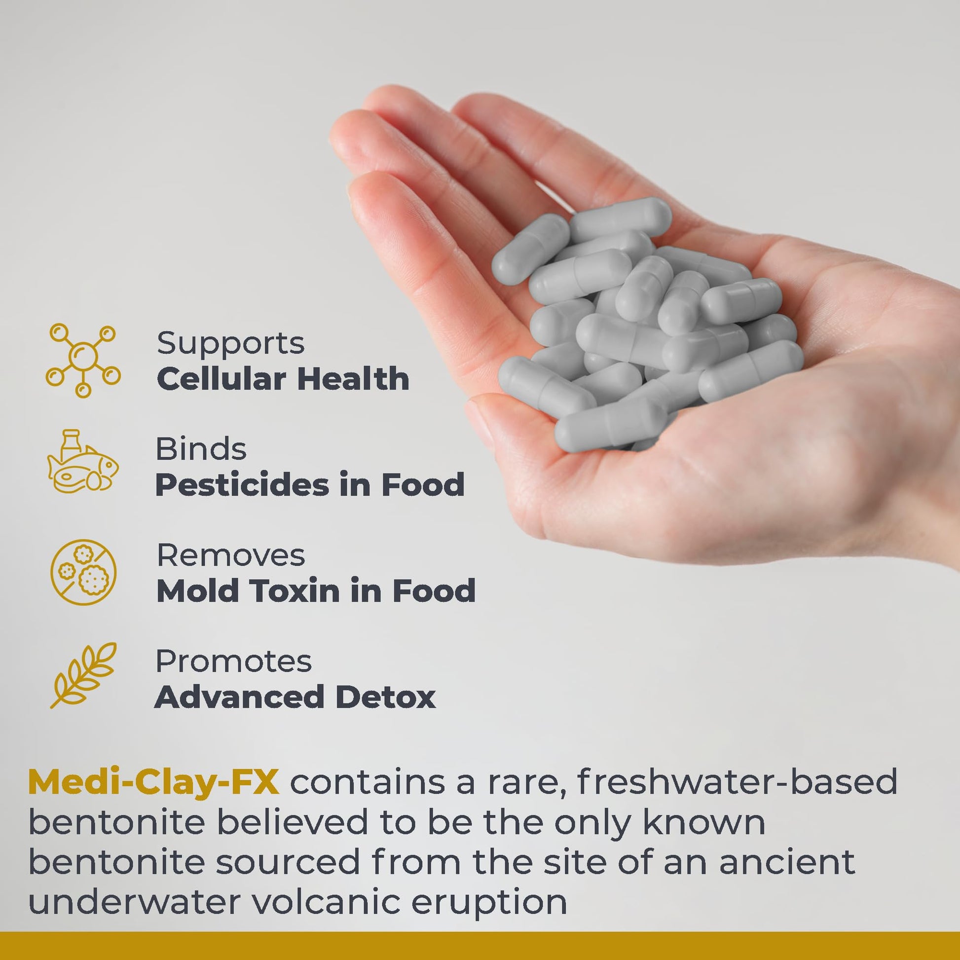 Premier Research Labs Medi-Clay-FX: Bentonite Clay Capsules for Detoxification | Food Grade Smectite Supplement | Absorb Toxins, Supports Cellular Health and Mold Detox - 90 Capsules Premier Research Labs Au supplements