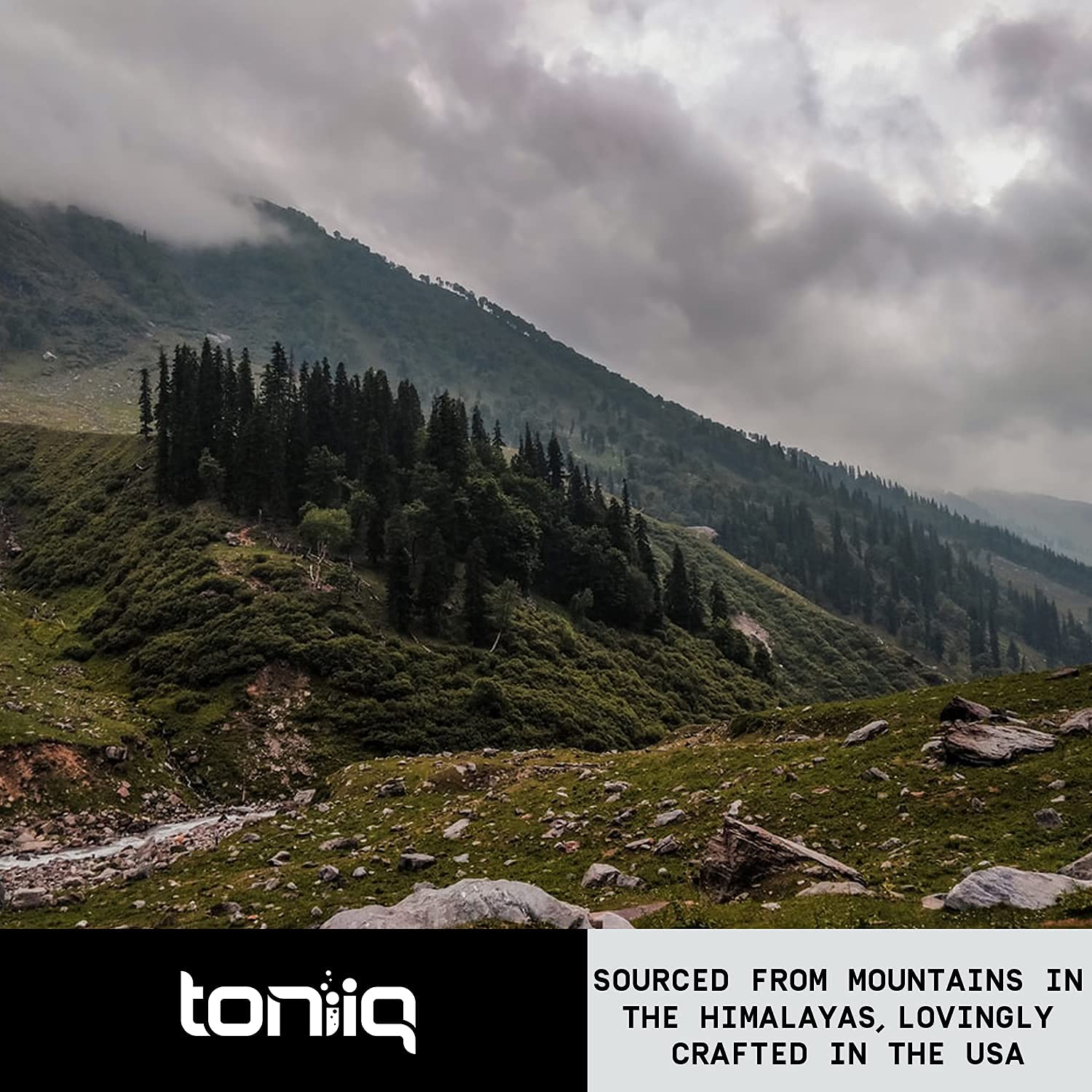 Toniiq Ultra High Strength Berberine HCl 500mg from The Himalayas - Berberine Suppleme Toniiq Au supplements