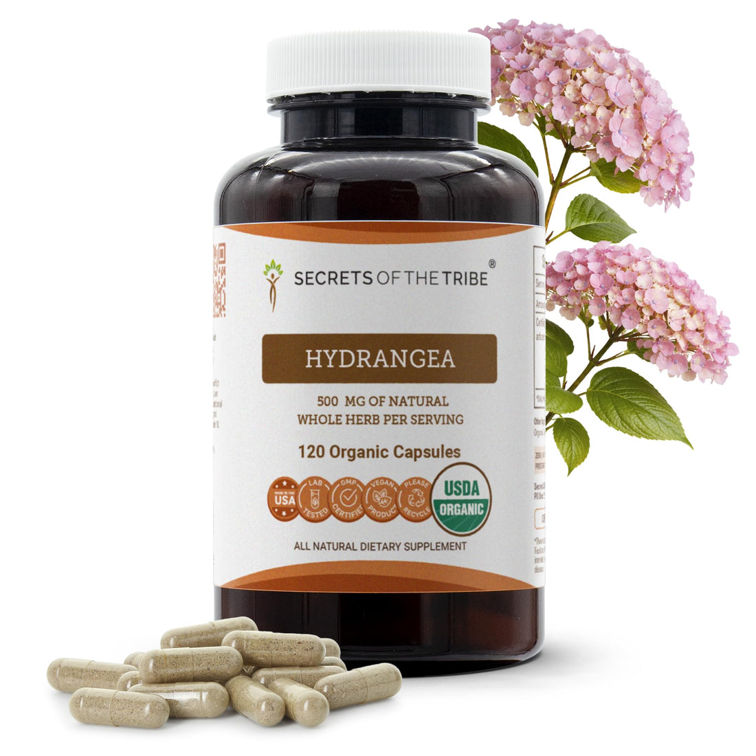 Secrets of the Tribe Hydrangea USDA Organic Capsules | Certified Organic Vegetarian Capsules, Herbal Dietary Supplement | Hydrangea arborescens Dried Root (120 Count) Secrets of the Tribe Au supplements