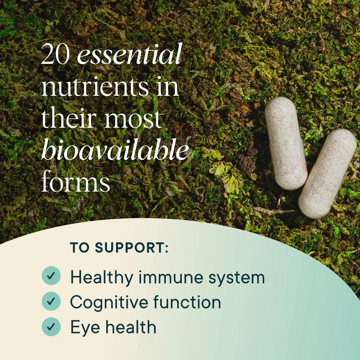 Ora Organic Plant Based Multivitamin for Women and Men, Bluelight Protection - Brain, Eye, Energy, Immune, Skin, Hair, Heart Ora Organic Au supplements